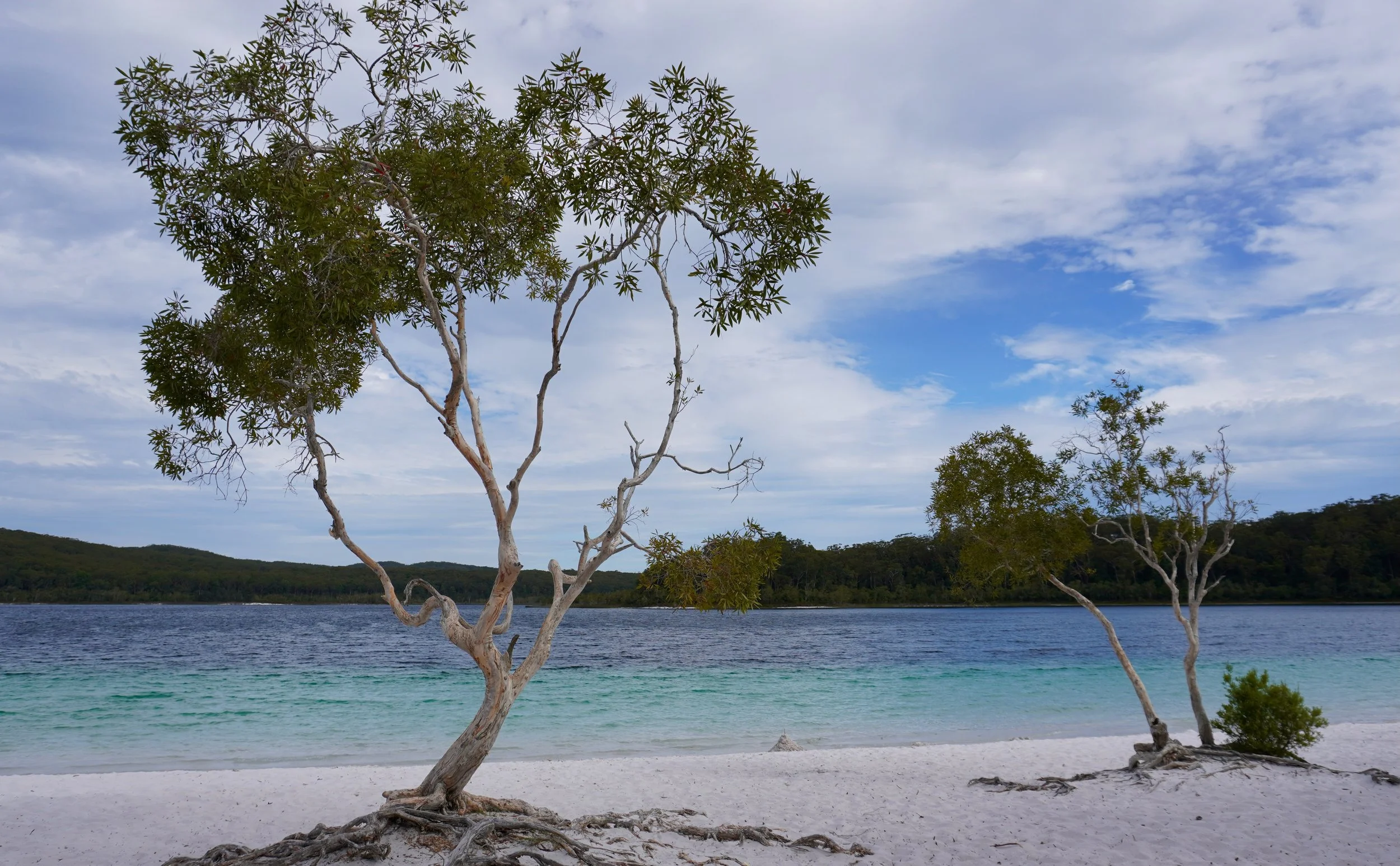 Lake McKenzie, Fraser Island, QLD