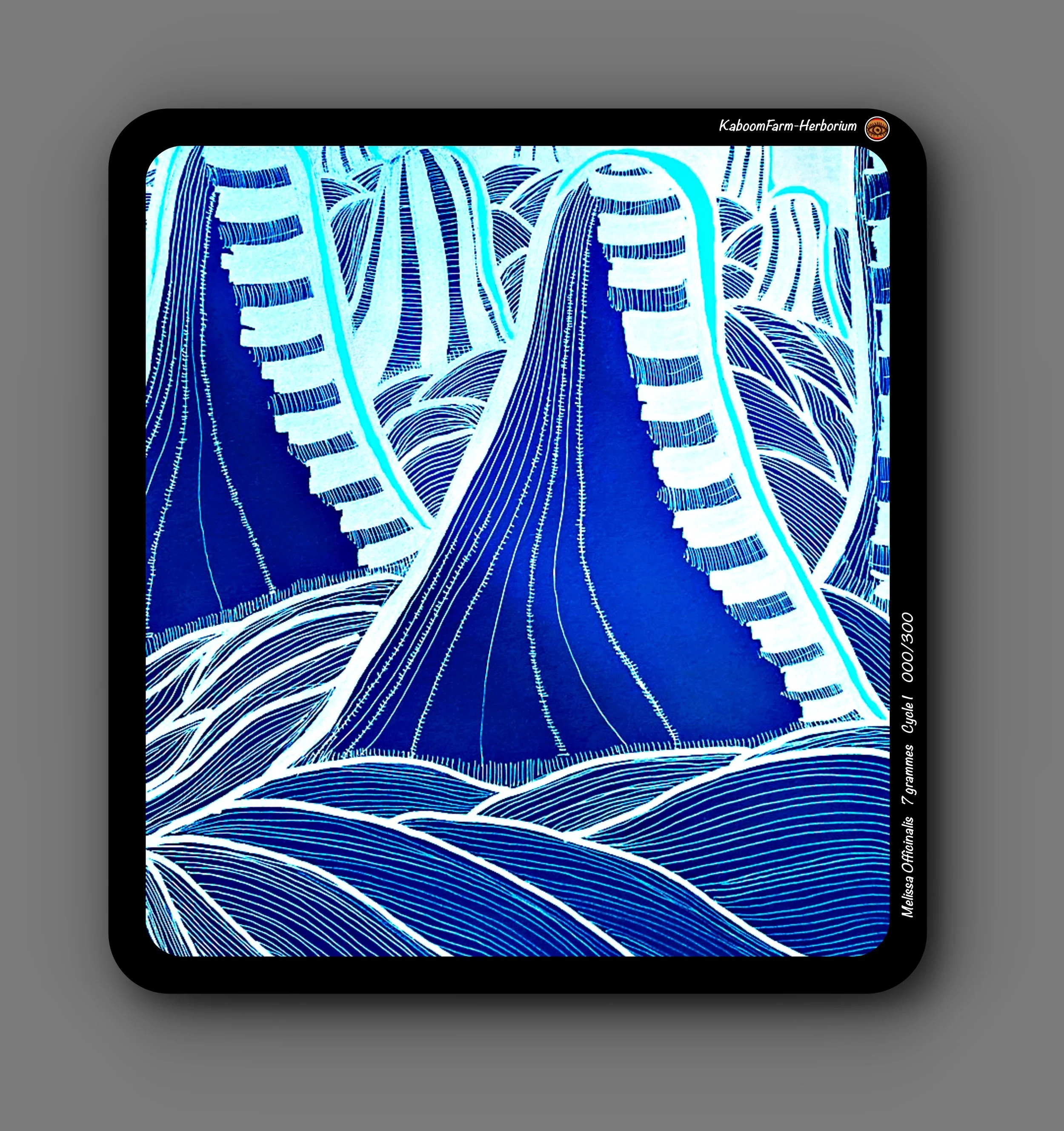 MÉLISSE (Melissa Officinalis)