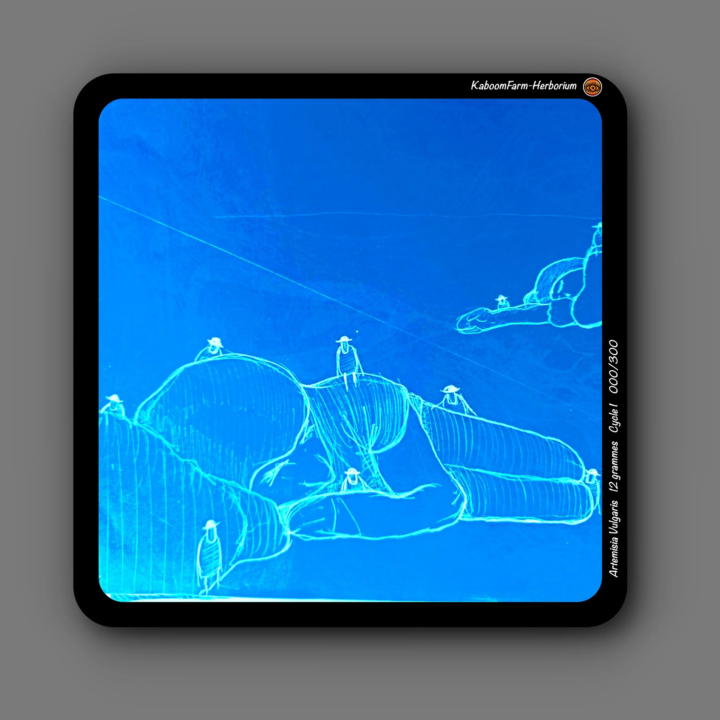 ARMOISE (Artemisia Vulgaris)