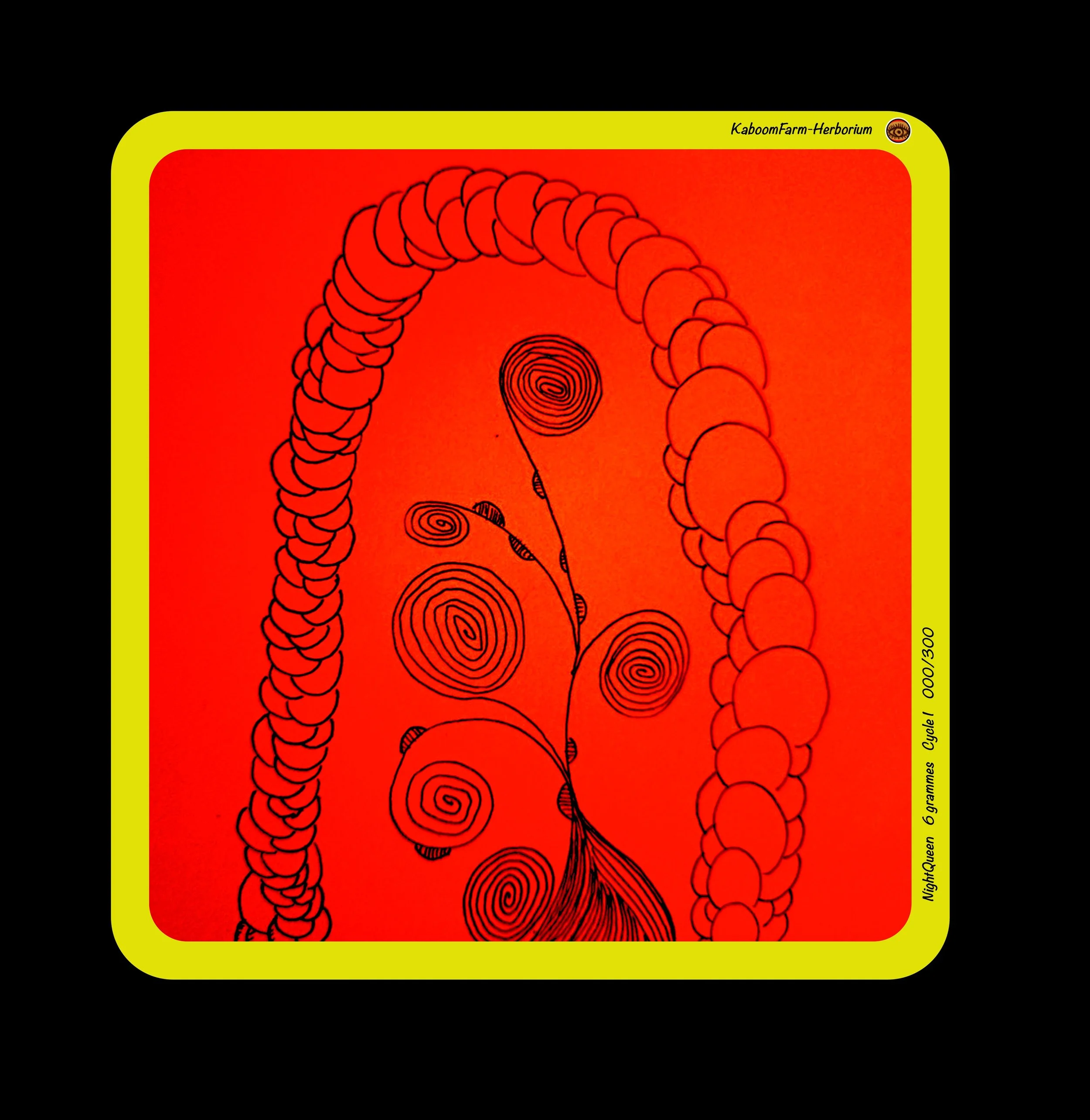 CACTUS VANILLE (NightQueen)