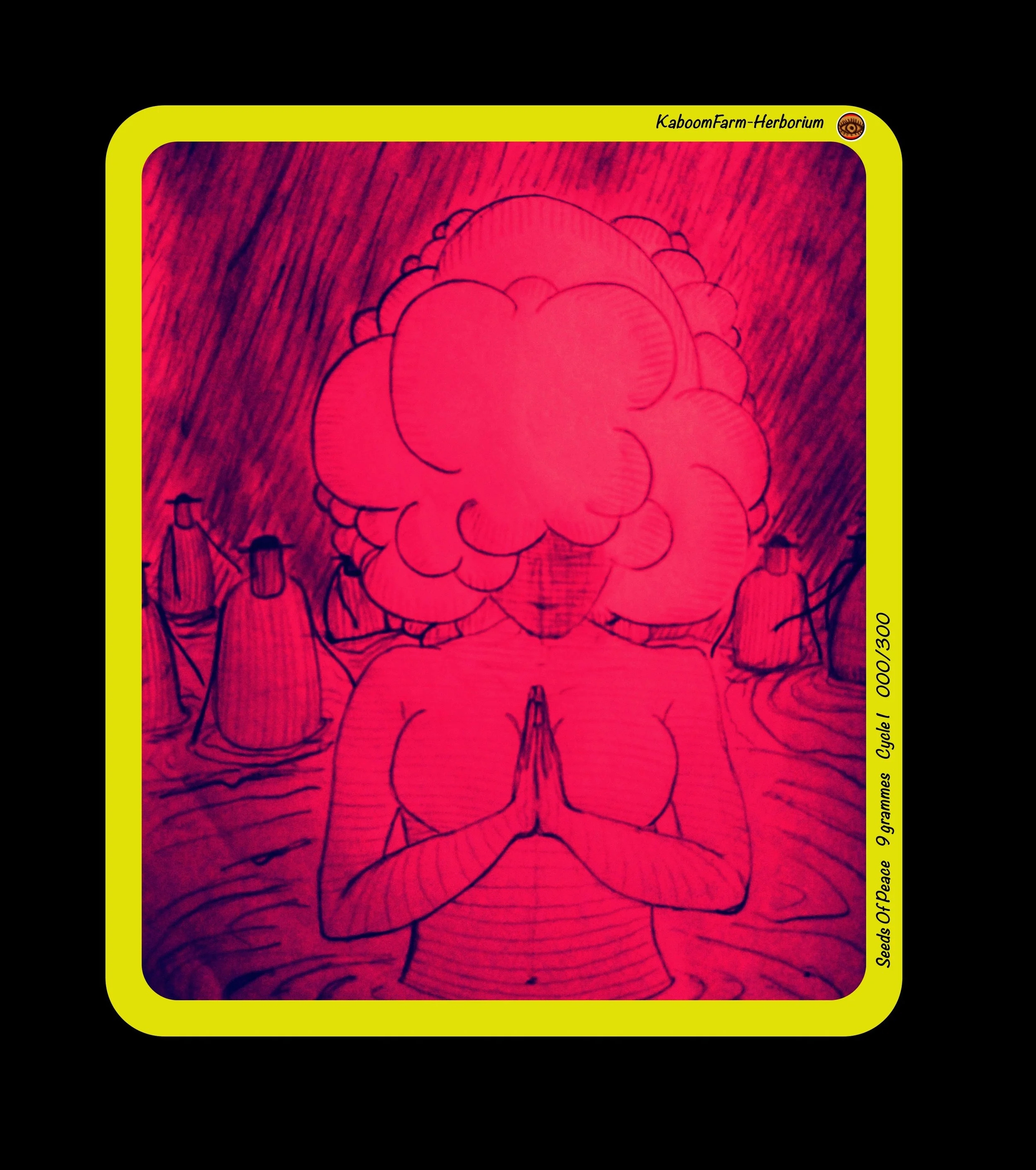 DJIMDJIM (Seeds Of Peace)