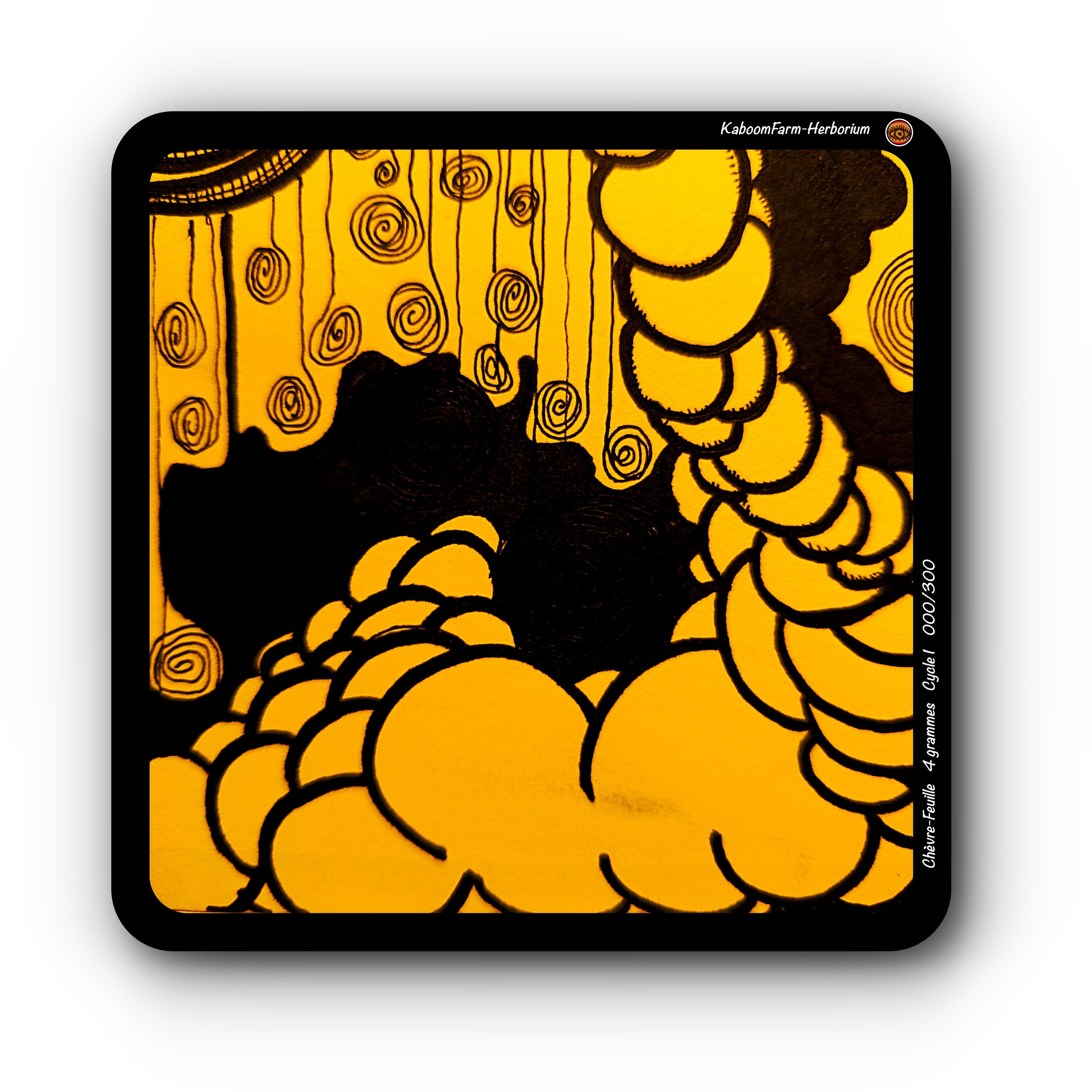 HONEYSUCKLE (Chèvre-Feuille)