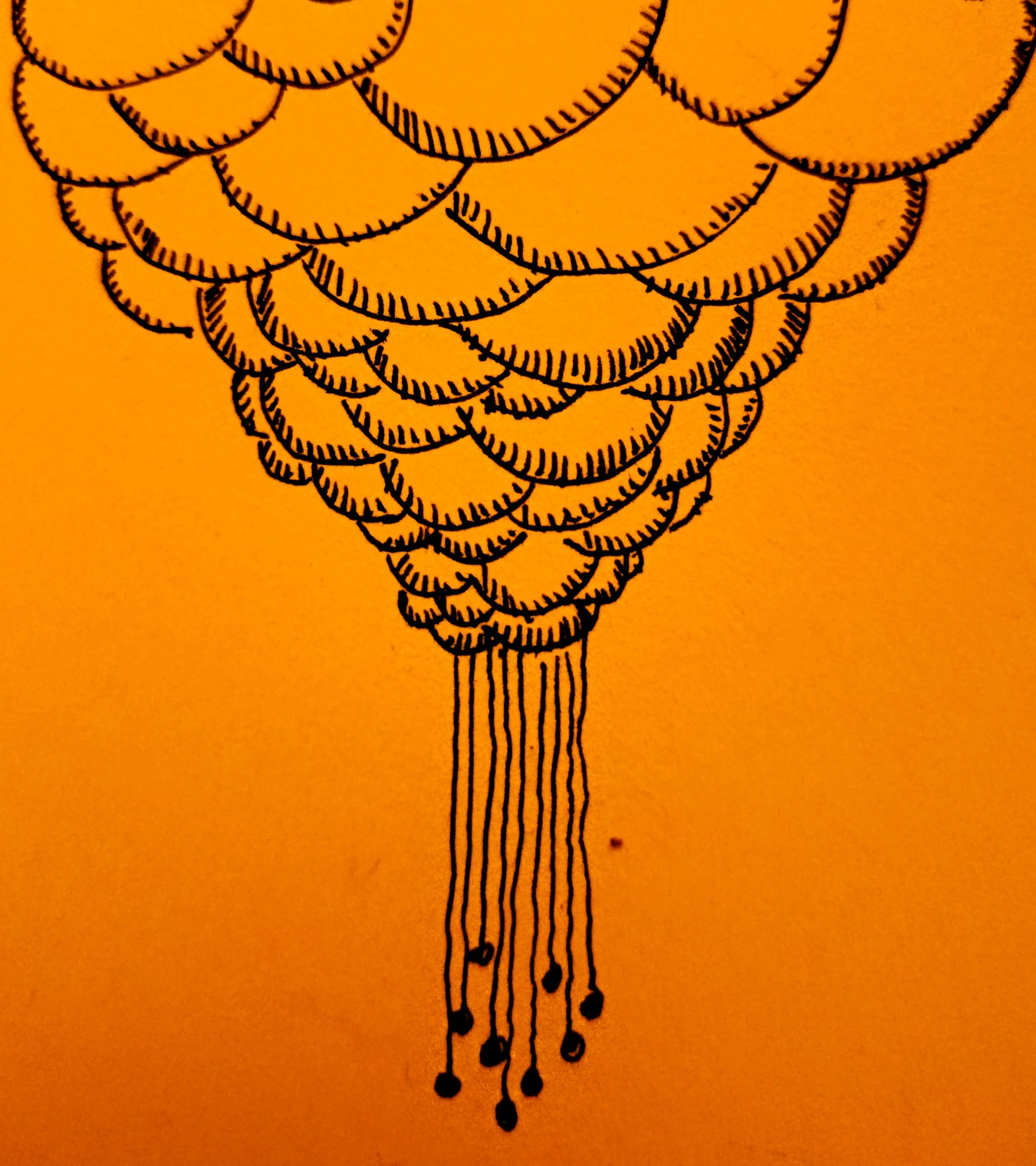 Black illustration of a pine cone on orange background.