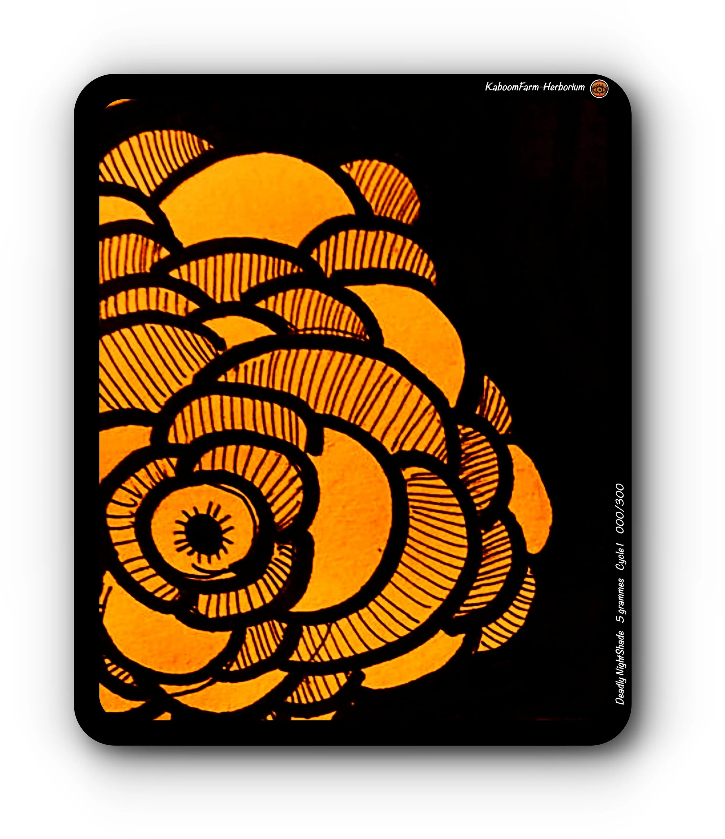 BELLADONNA (Deadly NightShade)