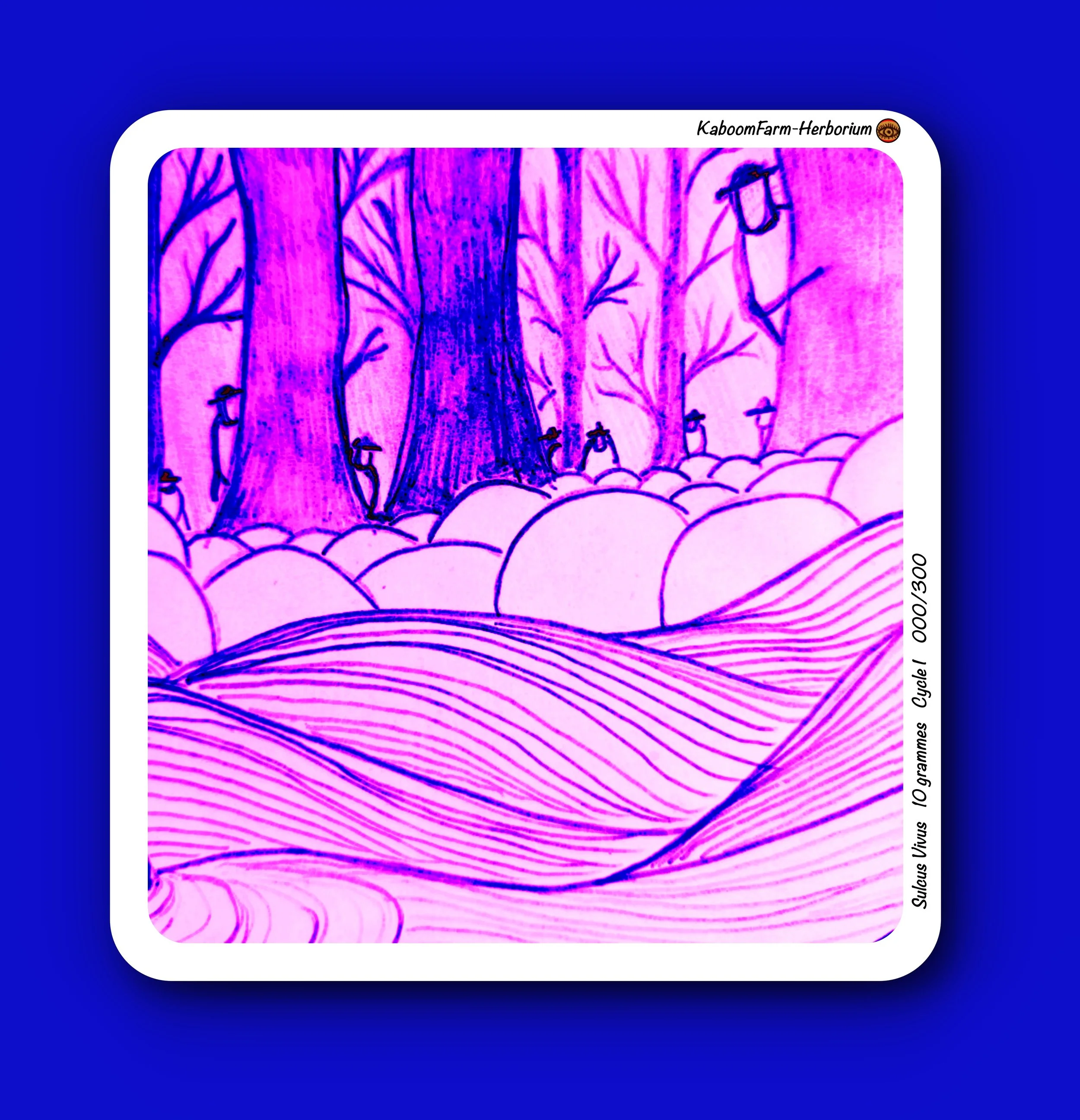 SILLON (Sulcus Vivus)