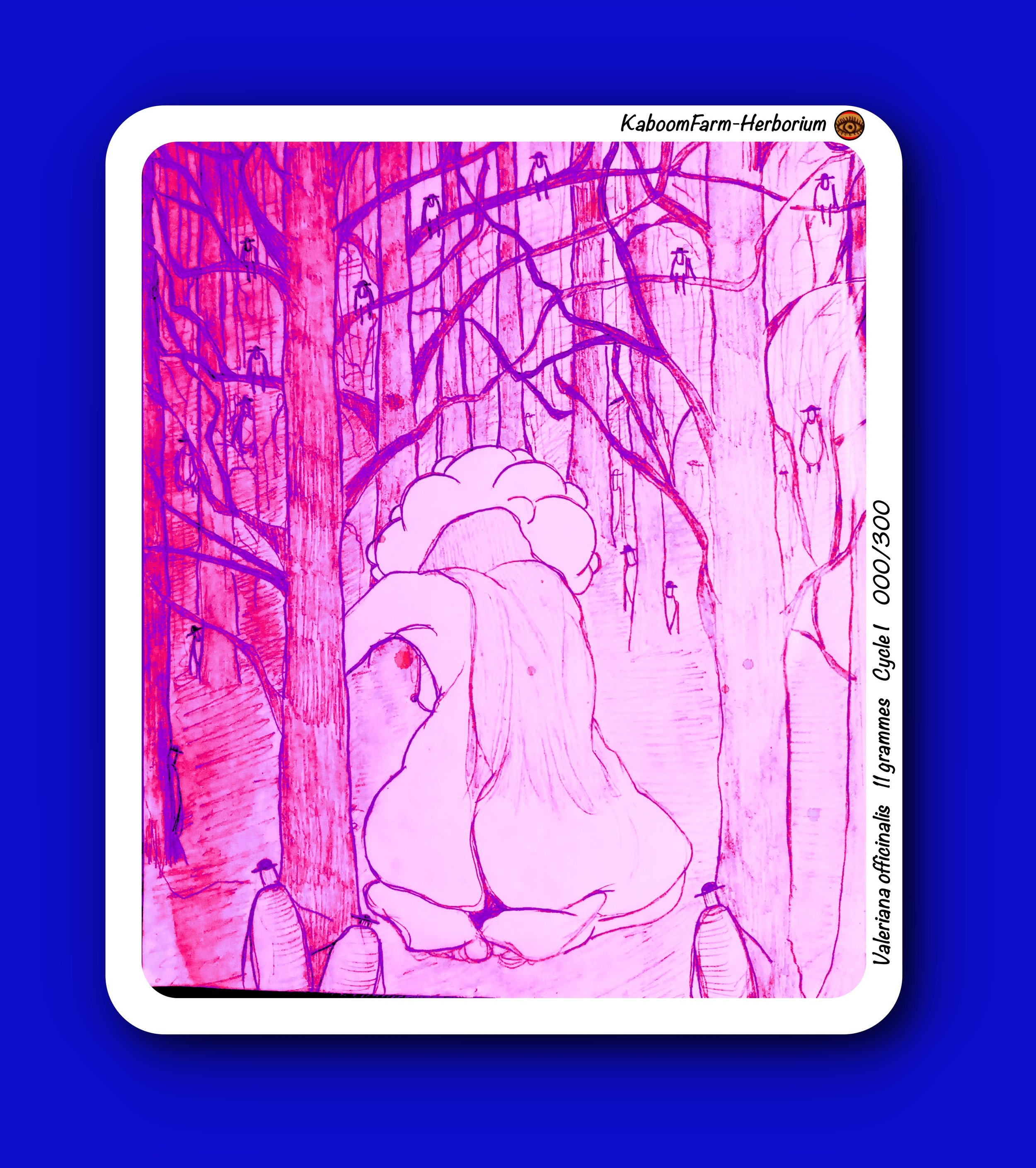 VALÉRIANE (Valeriana officinalis)