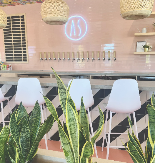 AMERICAN SOLERA: BREWING POP-UP