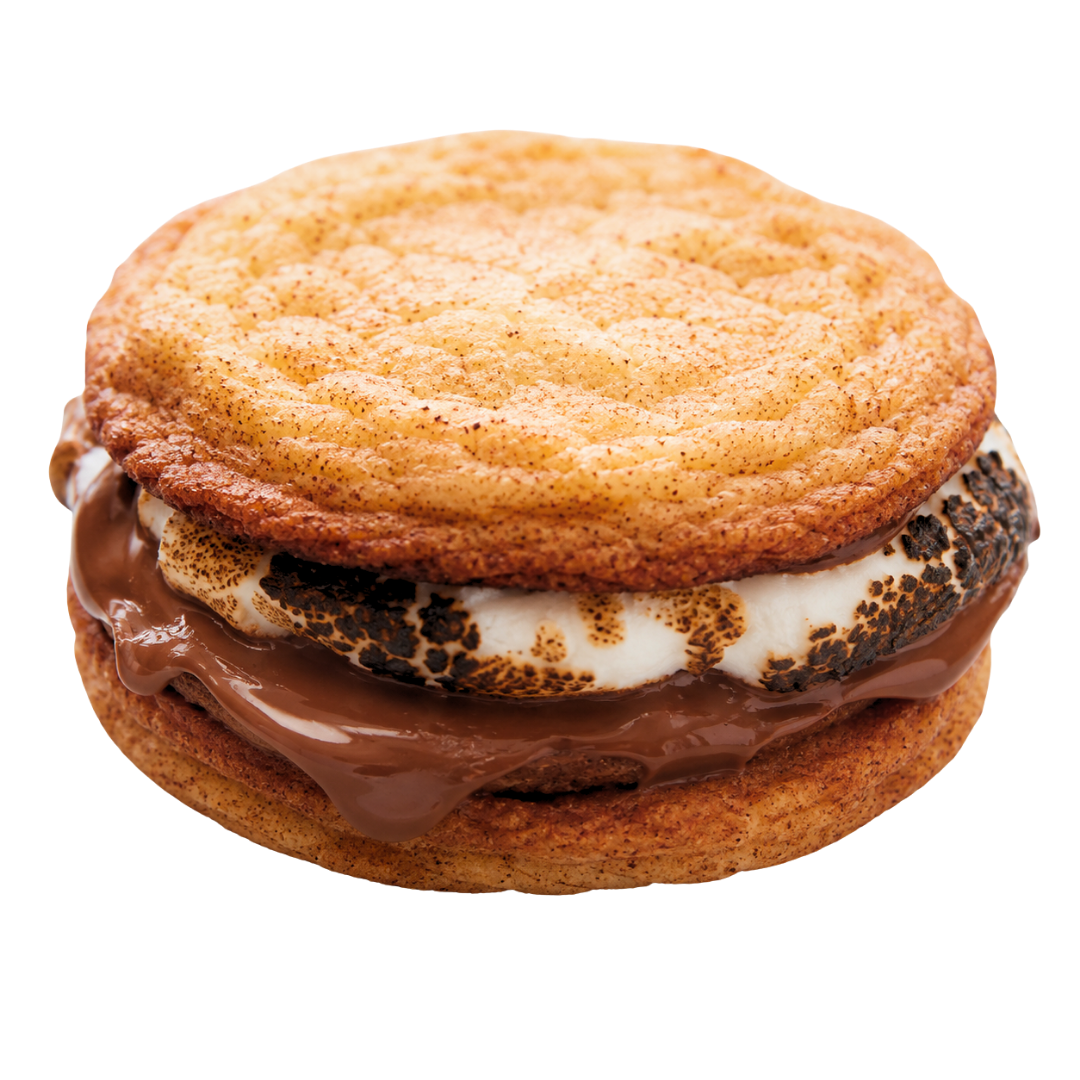 CHRISTMAS IN JULY {Snickerdoodle S'mores}