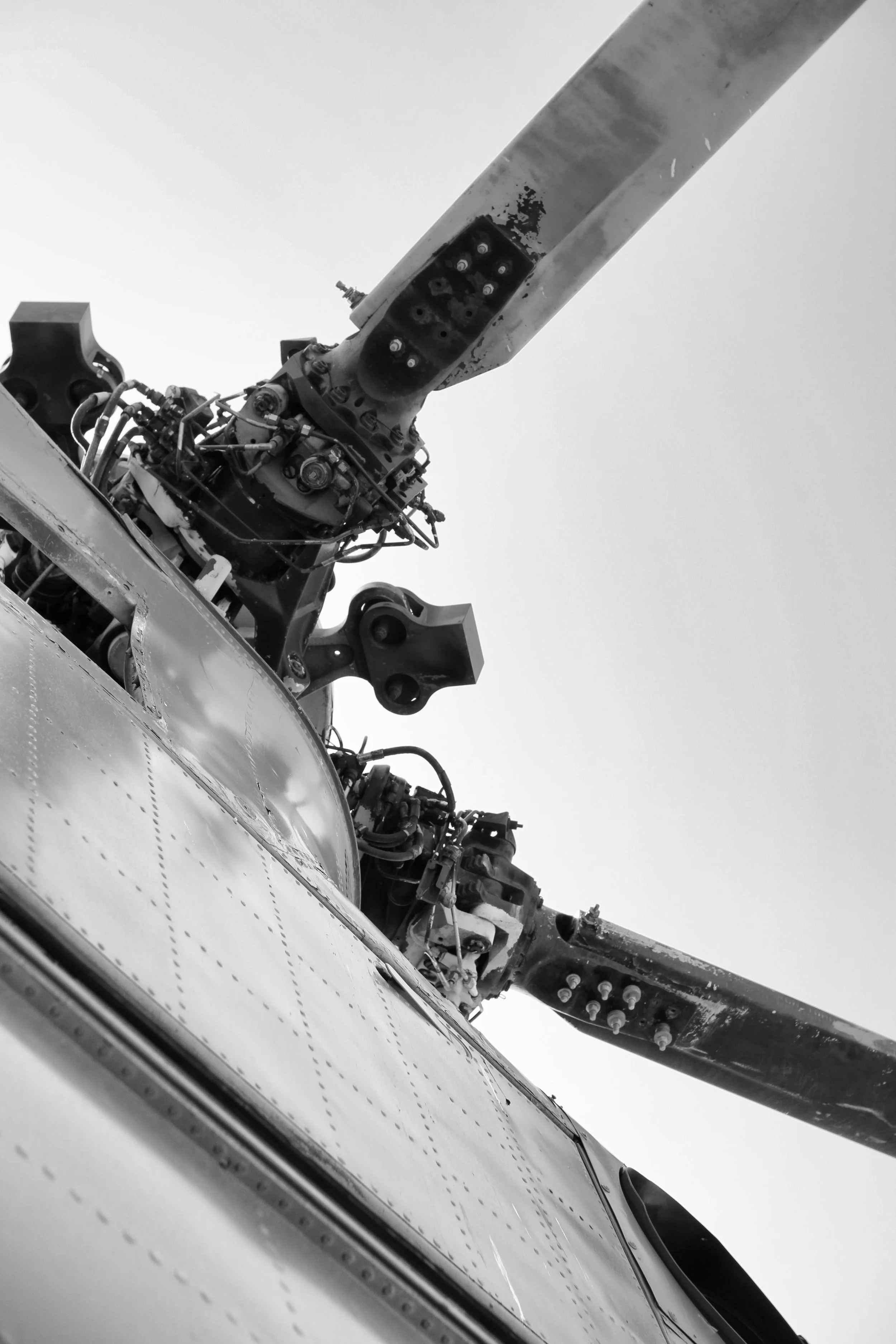 Investments in long-term company