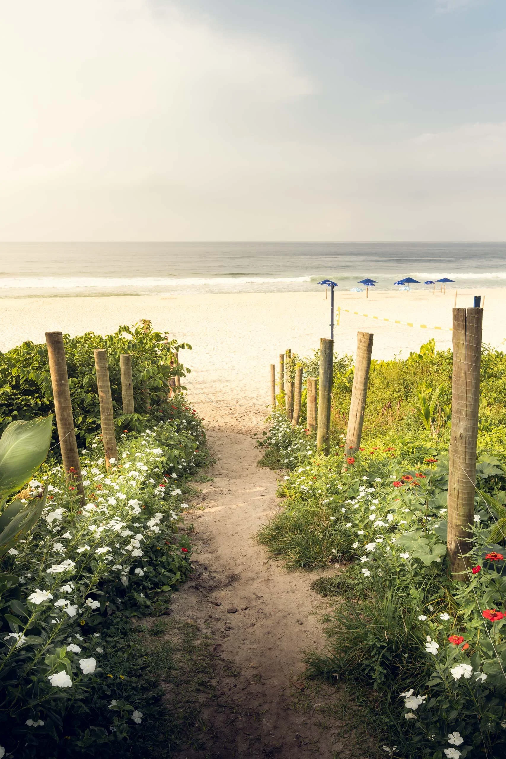 Fotografia fine art de acesso à praia no Rio de Janeiro com flores, caminho de areia e mar calmo ao fundo, ideal para quem busca um quadro leve para salas claras, quartos de férias, corredores e espaços que pedem sensação de acolhimento e pausa à bei