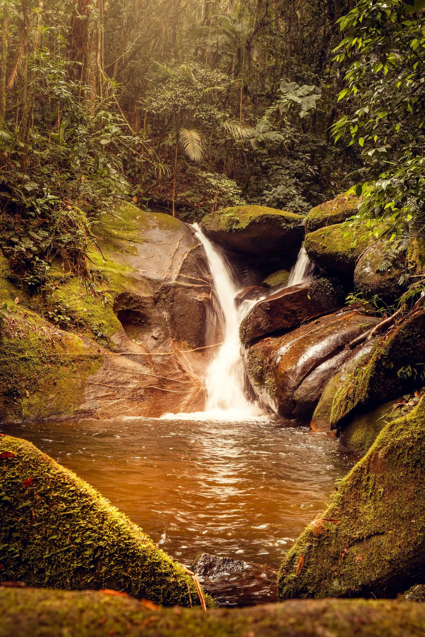 Cachoeira pequena no Legado das Águas com rochas cobertas de musgo e poço raso com água dourada. Vegetação densa da Mata Atlântica ao redor. Fotografia sem pessoas, indicada para interiores que buscam natureza tropical, textura orgânica e clima de fl