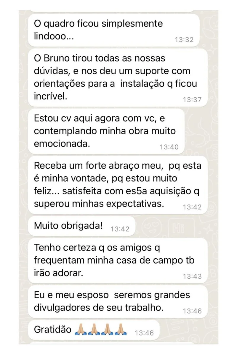 Cliente diz que o quadro ficou lindo, agradece pelo suporte para instalação, está emocionada contemplando a obra, superou expectativas, amigos irão adorar, serão grandes divulgadores. Depoimento sobre instalação e satisfação com a obra.