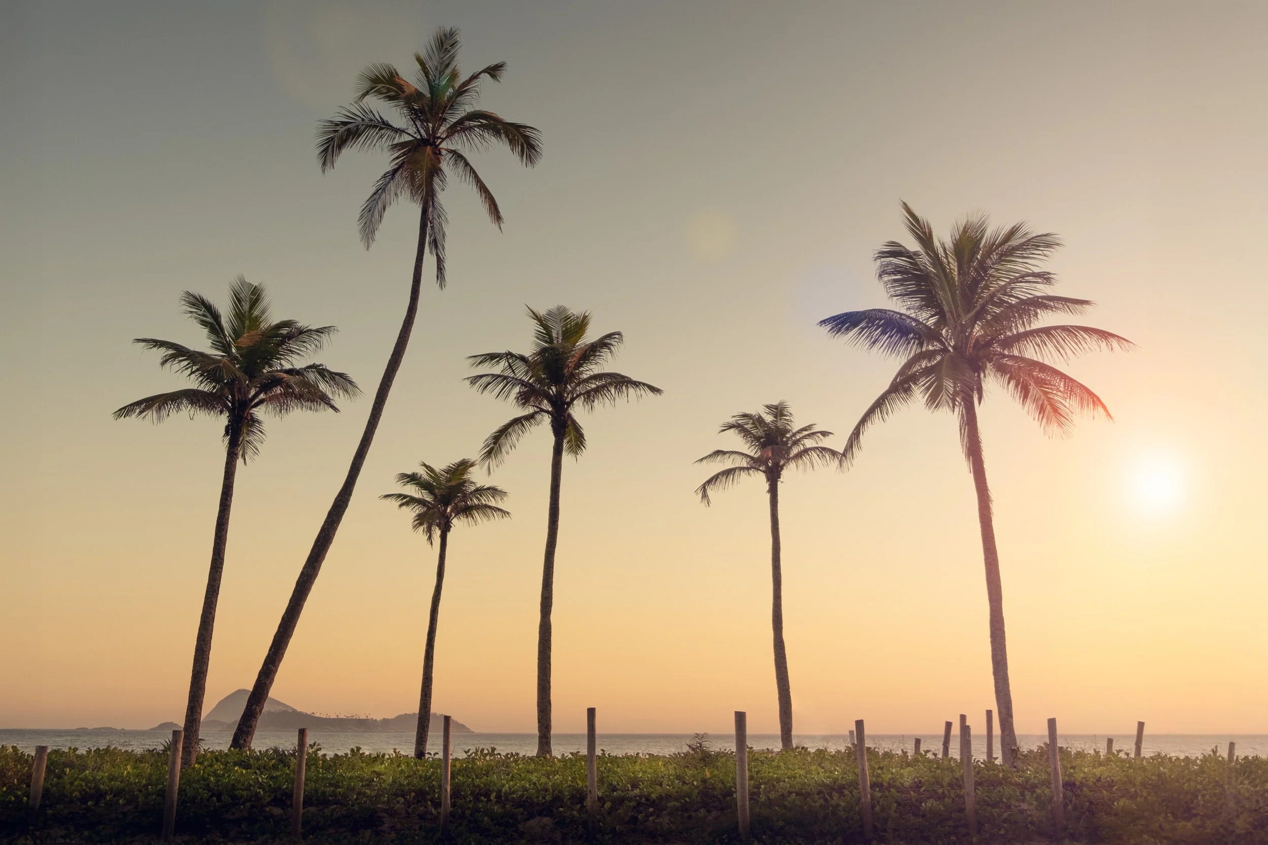 coqueiros-por-do-sol-rio-de-janeiro-praia-cena-tropical-decor