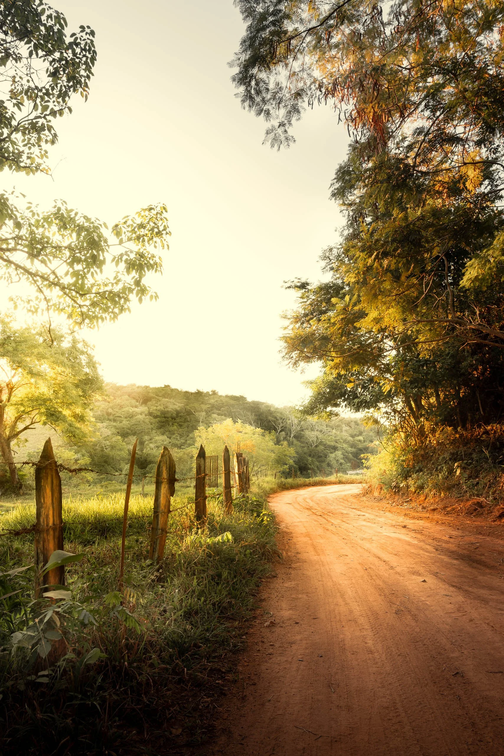 estrada-curva-cerca-madeira-interior-de-minas-fotografia-fine-art