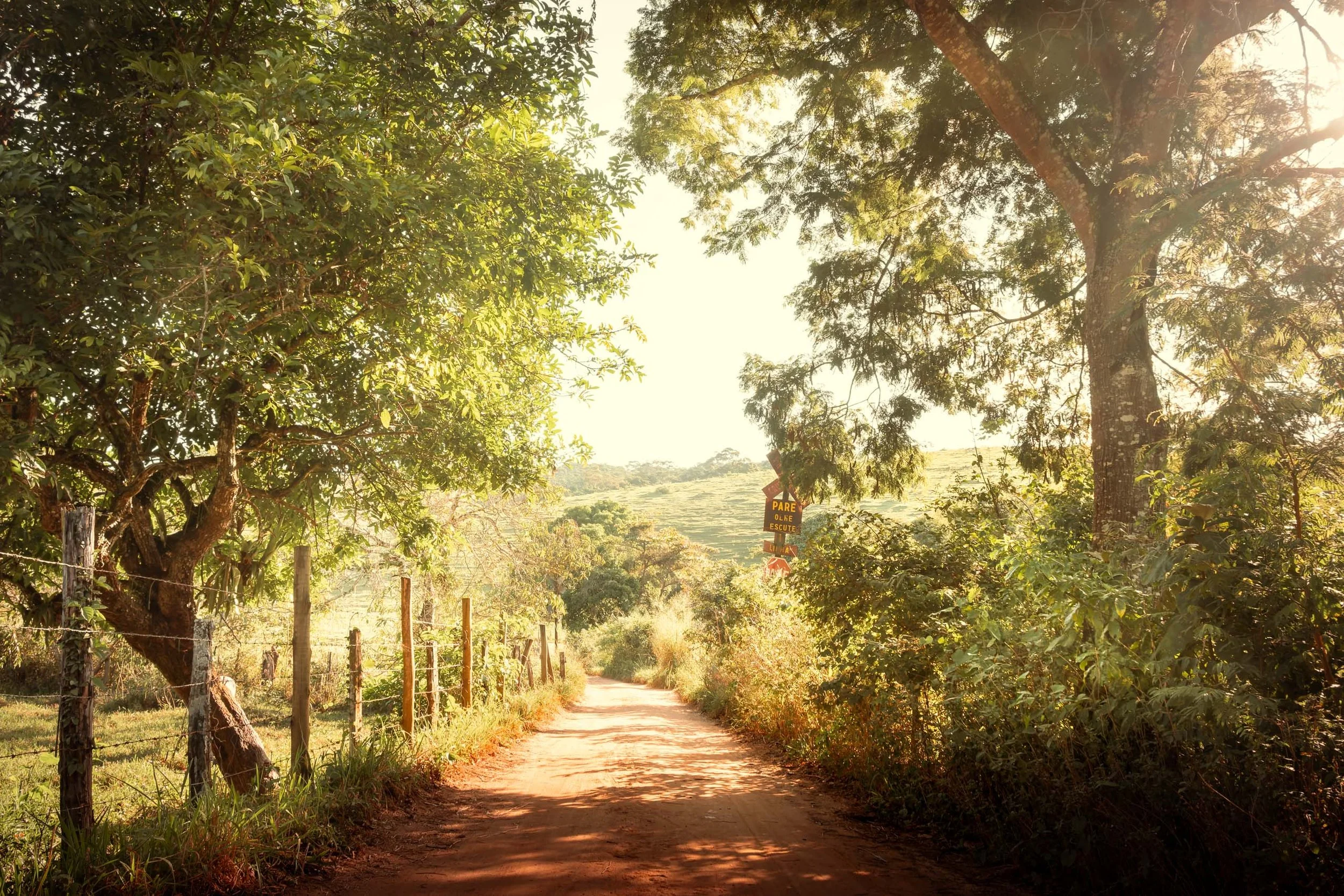 estrada-rural-cercas-luz-suave-interior-de-minas-fotografia-para-decor