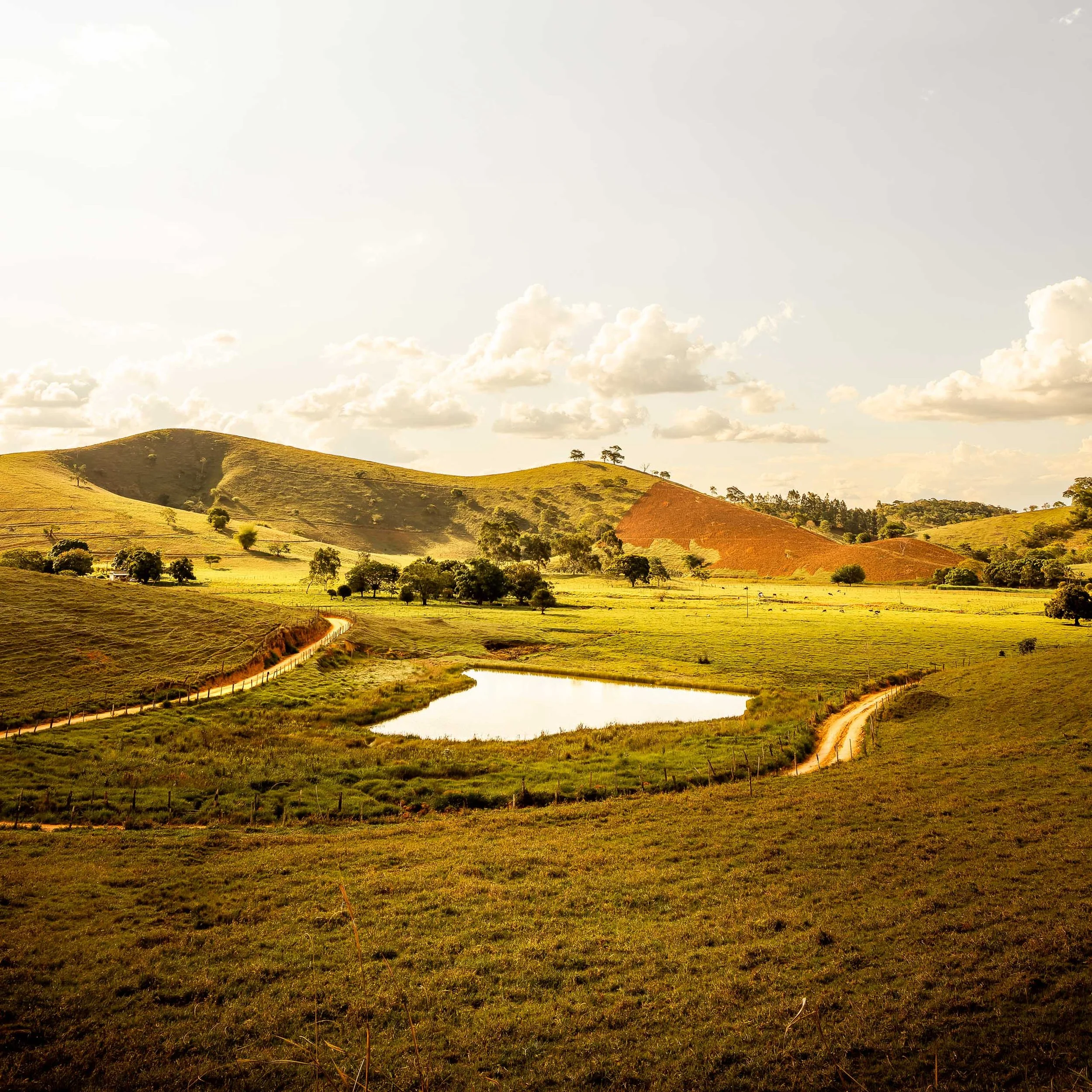 paisagem-campo-lago-estrada-de-terra-interior-de-minas-fotografia-panoramica