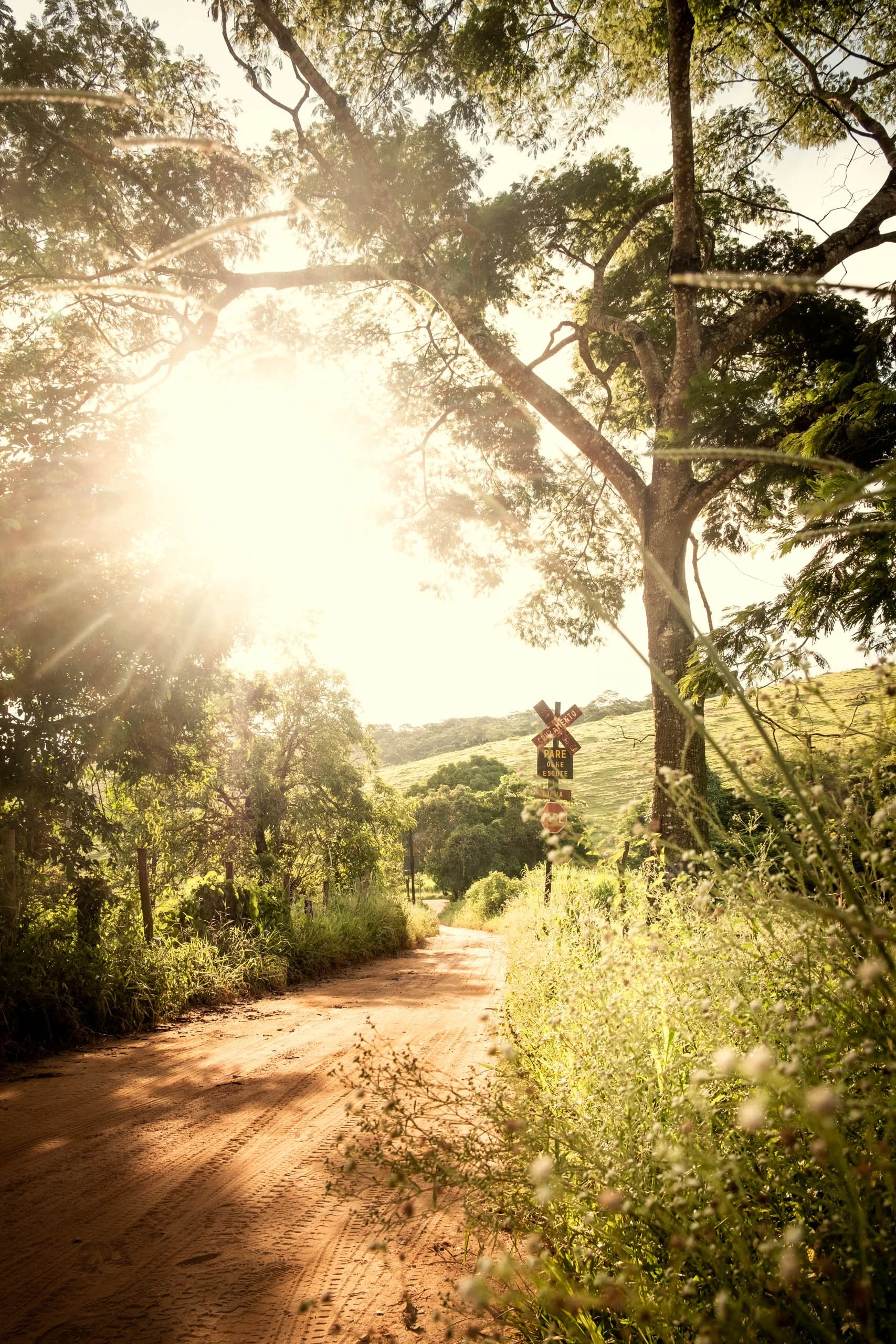 estrada-de-terra-luz-forte-interior-de-minas-placa-pare-fotografia-fine-art