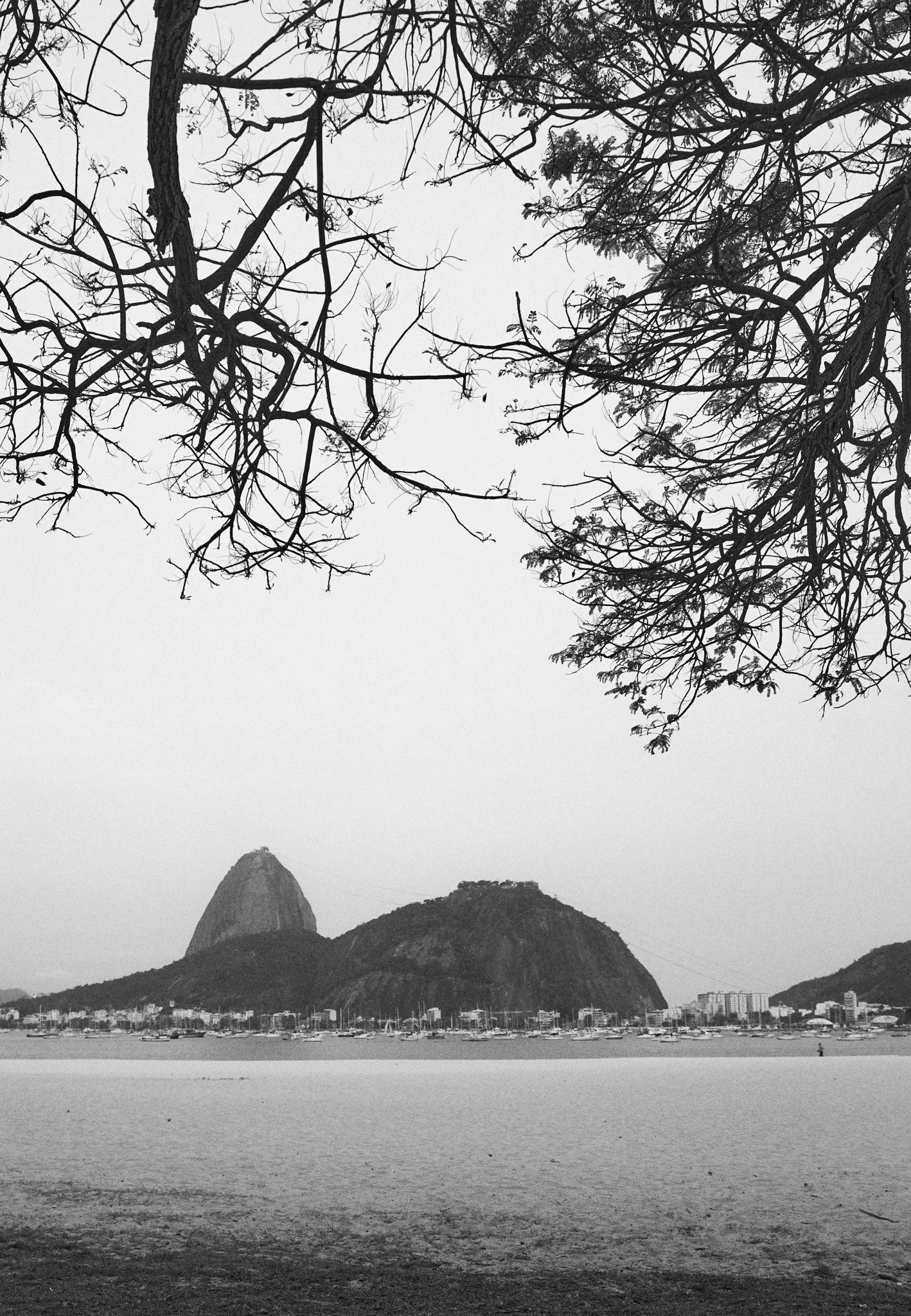 quadro-rio-de-janeiro-preto-e-branco-pao-de-acucar-galhos-arvore