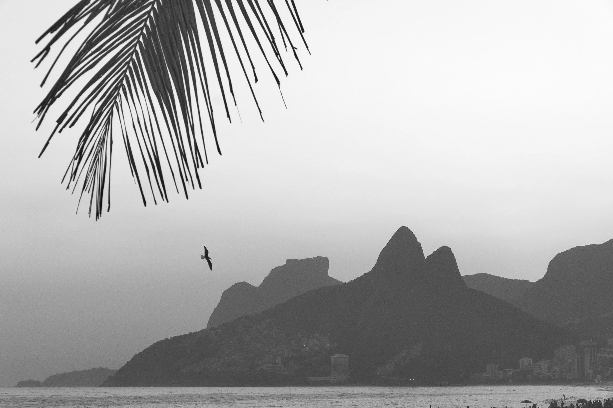 quadro-rio-de-janeiro-preto-e-branco-dois-irmaos-praia-ipanema-coqueiro