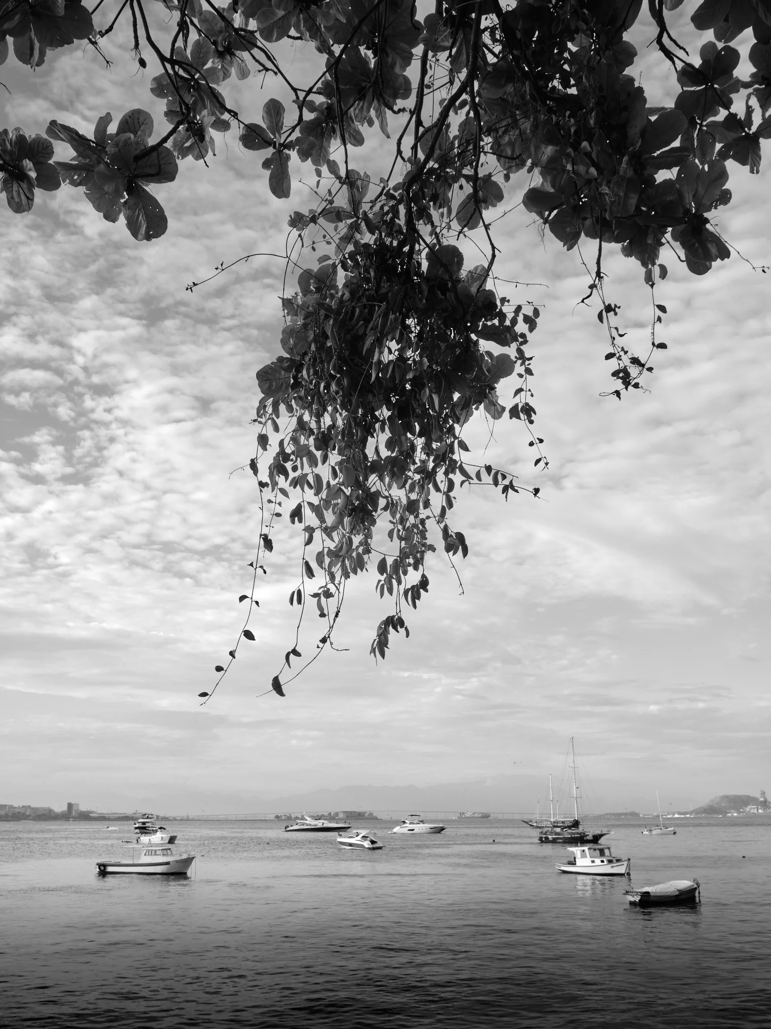 quadro-rio-de-janeiro-preto-e-branco-pao-de-acucar-barcos-urca