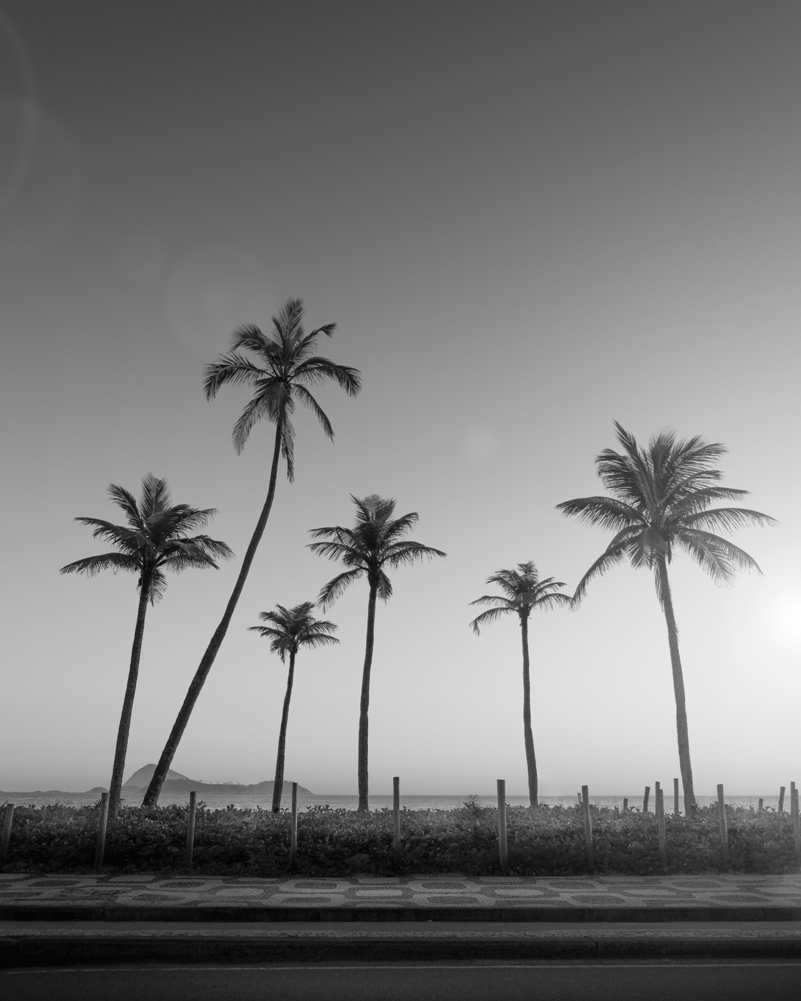 quadro-rio-de-janeiro-preto-e-branco-coqueiros-leblon-entardecer