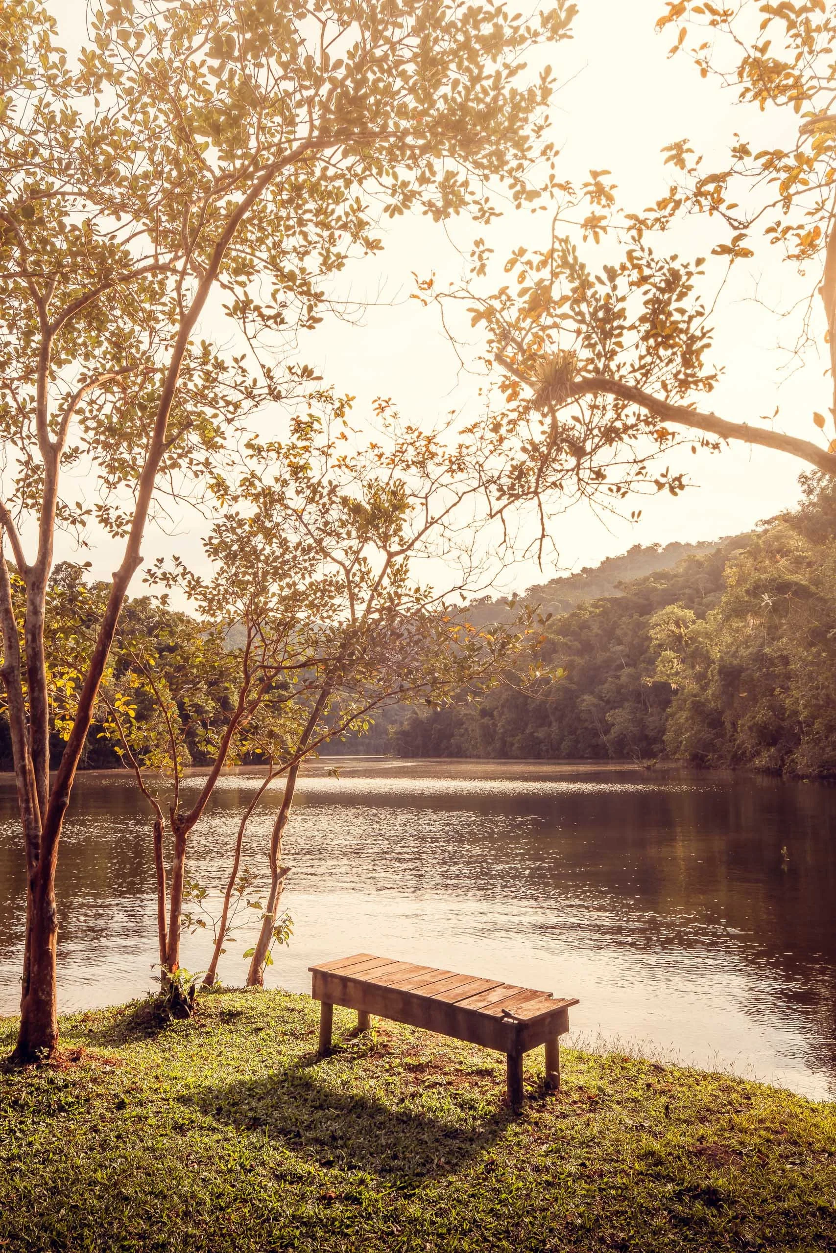 Banco de madeira na beira da represa do Legado das Águas com árvores finas ao redor e montanhas ao fundo. Luz suave criando sombra no gramado. Foto sem pessoas, ideal para decoração que busca tranquilidade e conexão com natureza.
