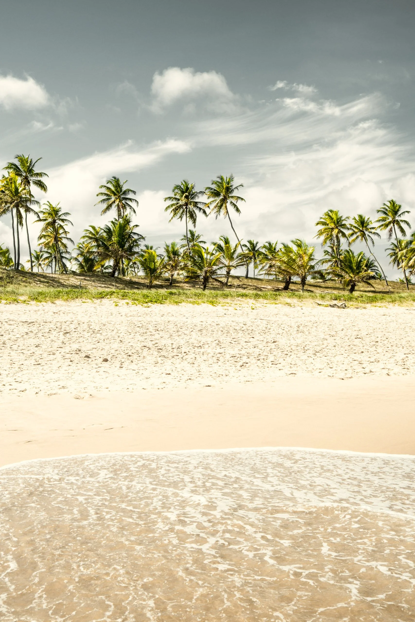 Fotografia fine art de praia na Bahia com faixa de areia clara, água chegando na borda em primeiro plano e linha de coqueiros ao fundo, criada para pessoas que querem trazer leveza tropical para casa, como quem tem sala ampla com tons neutros, aparta