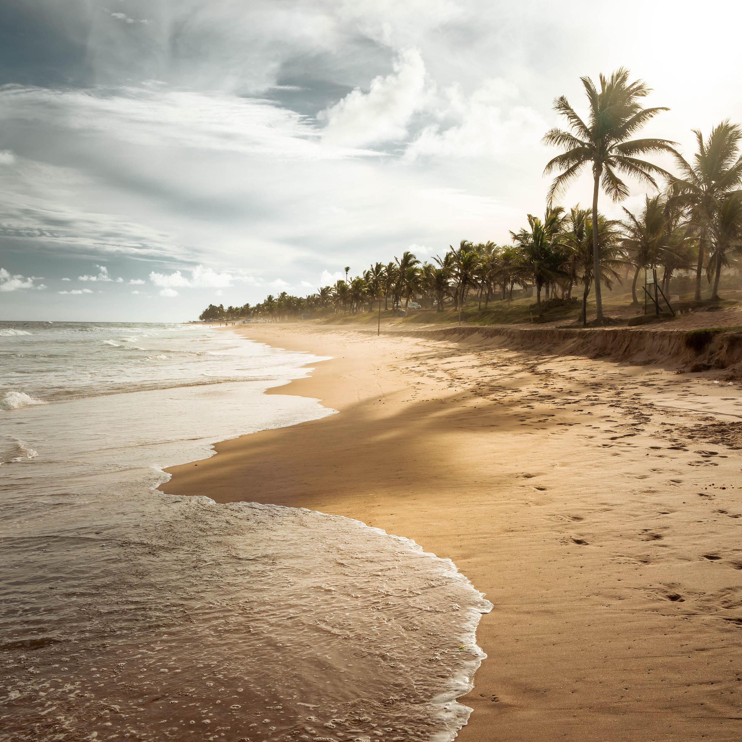 Fotografia fine art de praia na Bahia em fim de tarde, com faixa de areia molhada, ondas suaves e fileira de coqueiros ao fundo, criada para clientes que querem levar memória afetiva do litoral brasileiro para casa, como casais que passaram férias no