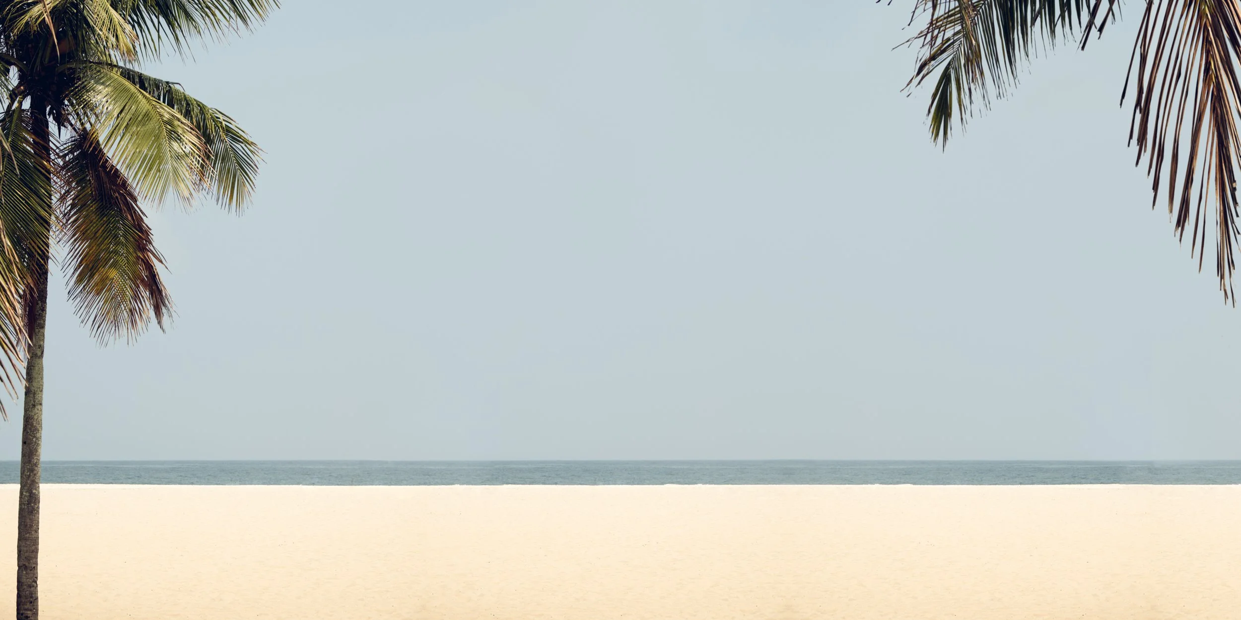 Cena minimalista de praia no Rio de Janeiro com areia clara, mar calmo no horizonte e folhas de coqueiro nas bordas superiores da imagem, ideal para interiores que pedem leveza e linhas limpas.