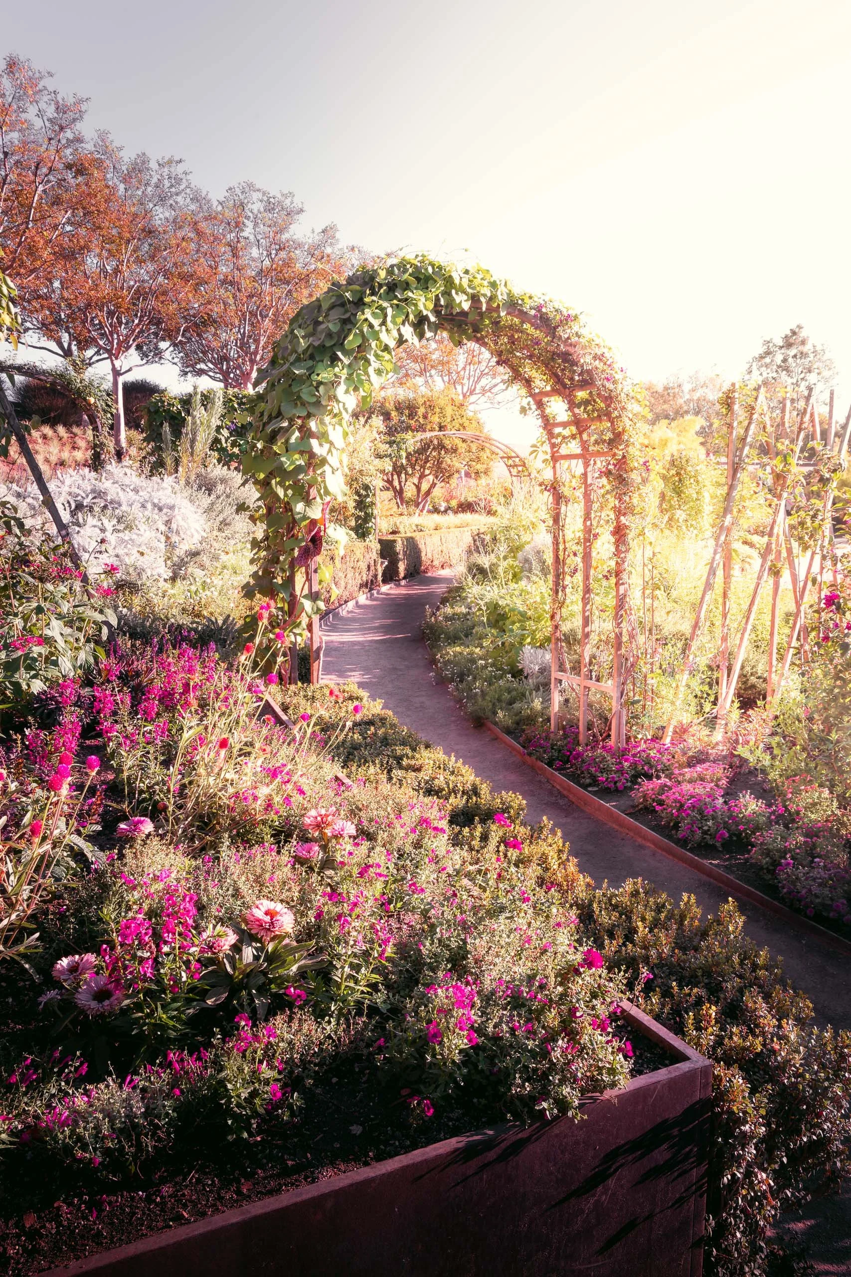 Fotografia fine art de jardim florido com arco de plantas pensado para quem busca um quadro que traga tranquilidade e cor para salas claras, varandas de apartamento e projetos de interiores com estética natural e delicada.