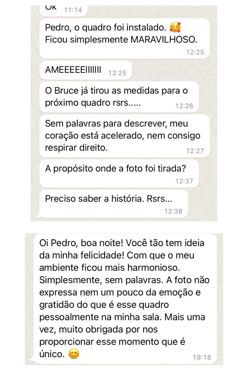 Mensagem dizendo que o quadro foi instalado, ficou maravilhoso, cliente amou. Diz que vão medir outro quadro, fala que o coração acelerou, pergunta onde a foto foi tirada e quer saber a história. Outra mensagem fala sobre harmonia do ambiente, emoção