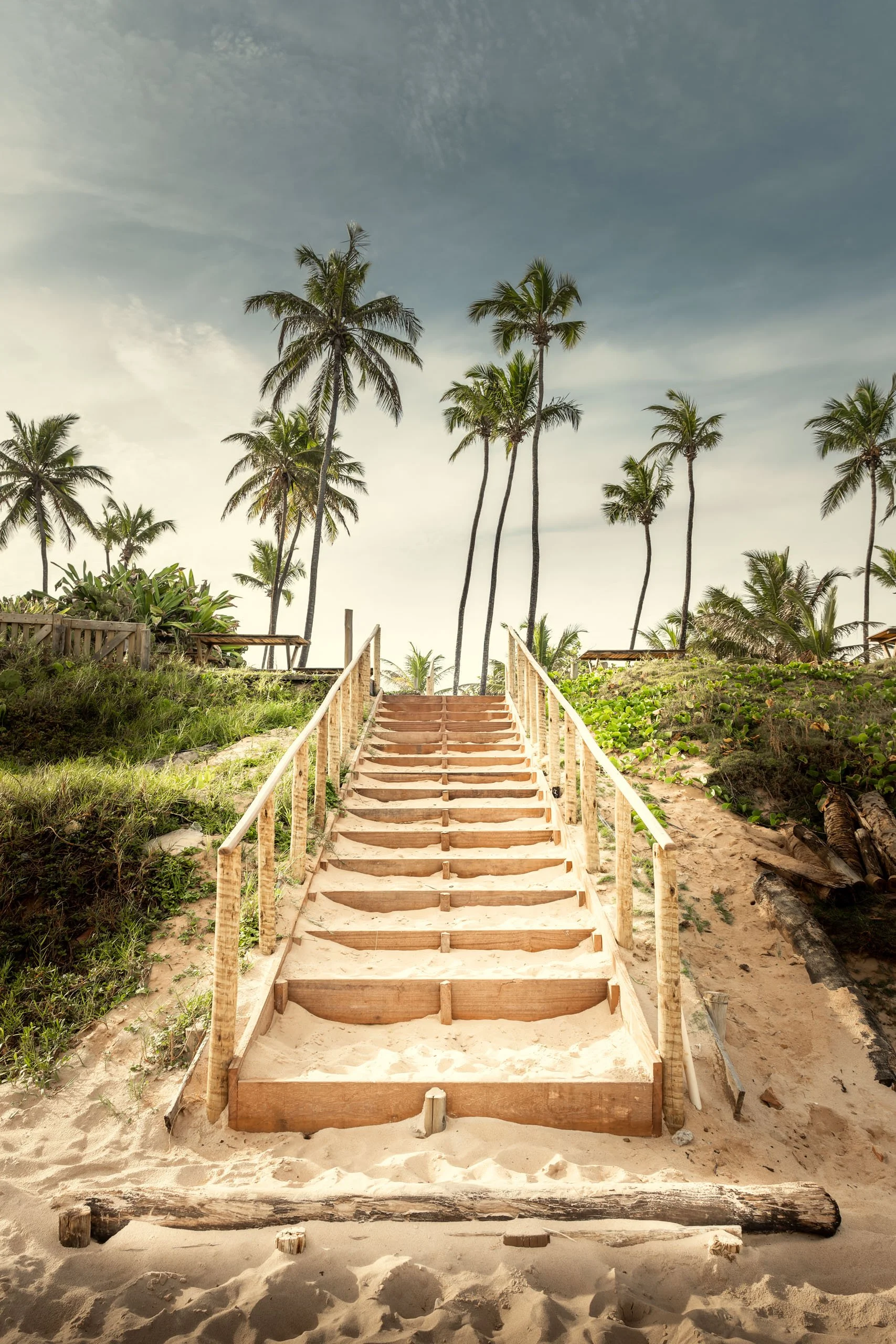 Escada de madeira conduzindo à faixa de areia com coqueiros altos ao fundo, ideal para arquitetos e designers que buscam um quadro vertical com atmosfera tropical suave para projetos de praia, casas de veraneio e espaços de descanso.
