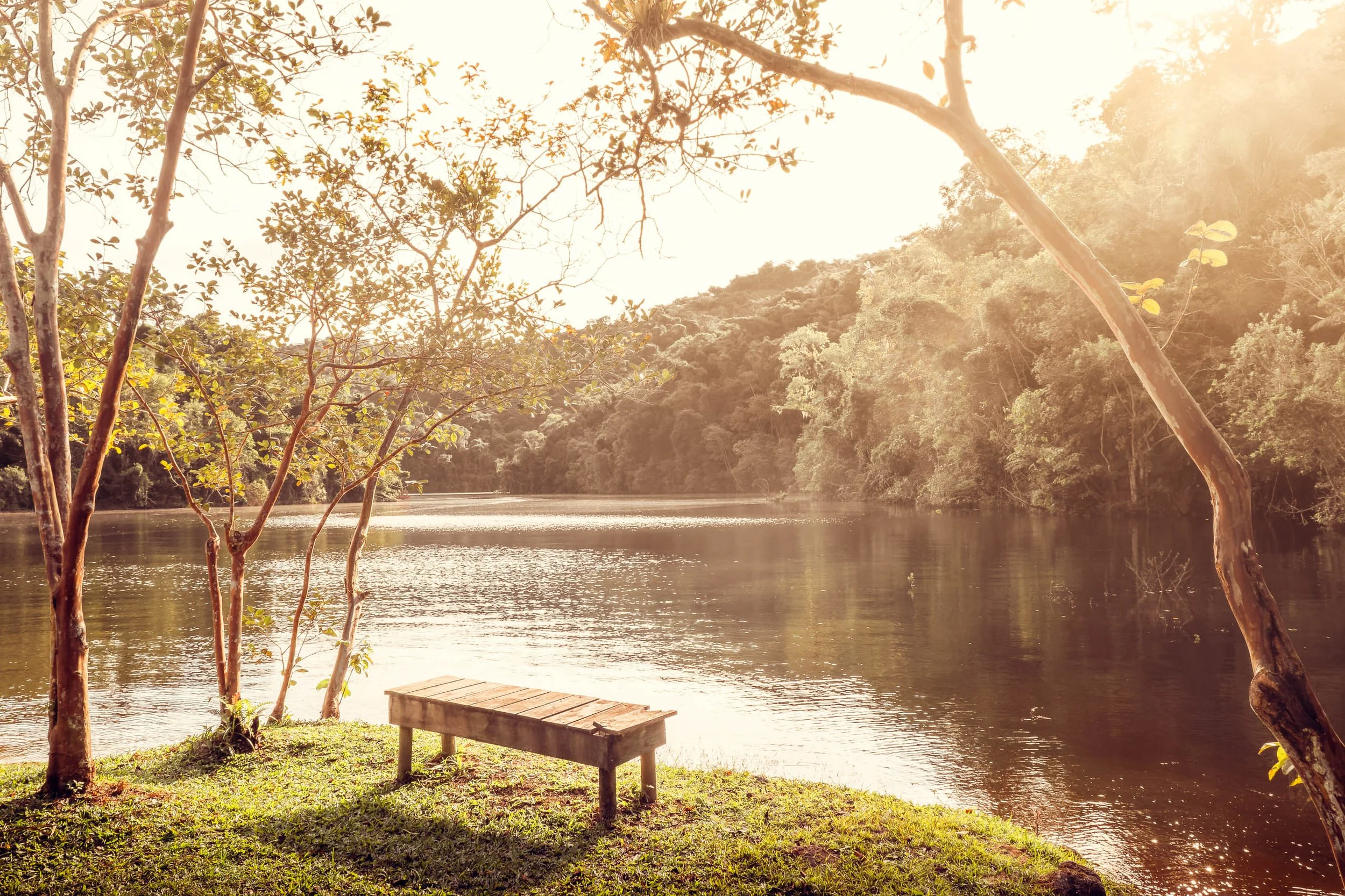 Banco de madeira na beira da represa do Legado das Águas com árvores finas ao redor e colinas verdes ao fundo. Luz quente ilumina a água e o gramado. Fotografia sem pessoas, indicada para interiores que buscam calma, natureza brasileira e paleta quen