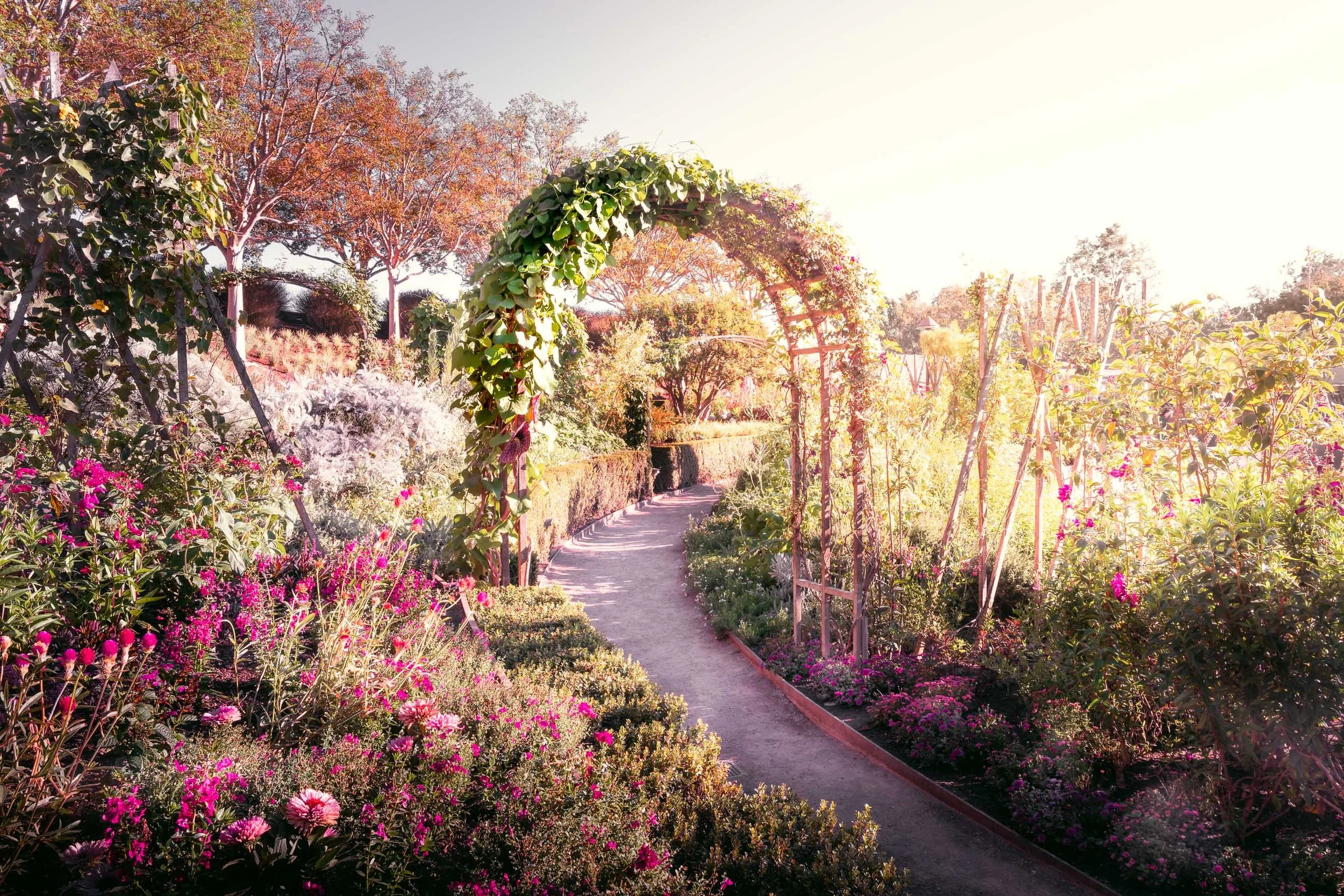 Fotografia fine art de jardim com arco florido e caminho curvo, criada para quem quer um quadro que traga leveza e tons suaves para salas iluminadas, áreas de leitura e projetos de interiores femininos ou românticos voltados para sensação de calma e 