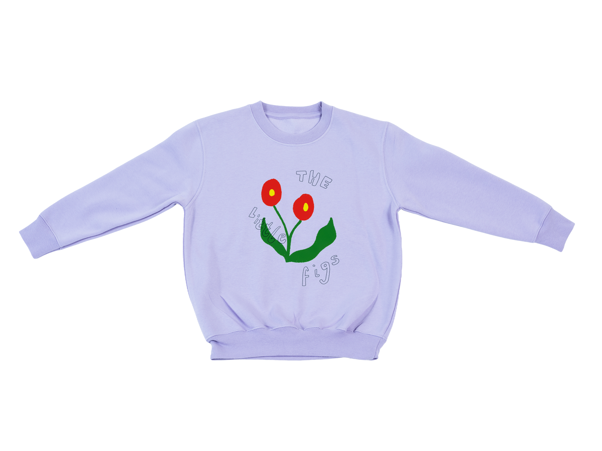 LittleFigs_Transparent_Jumper_08_4_3.png