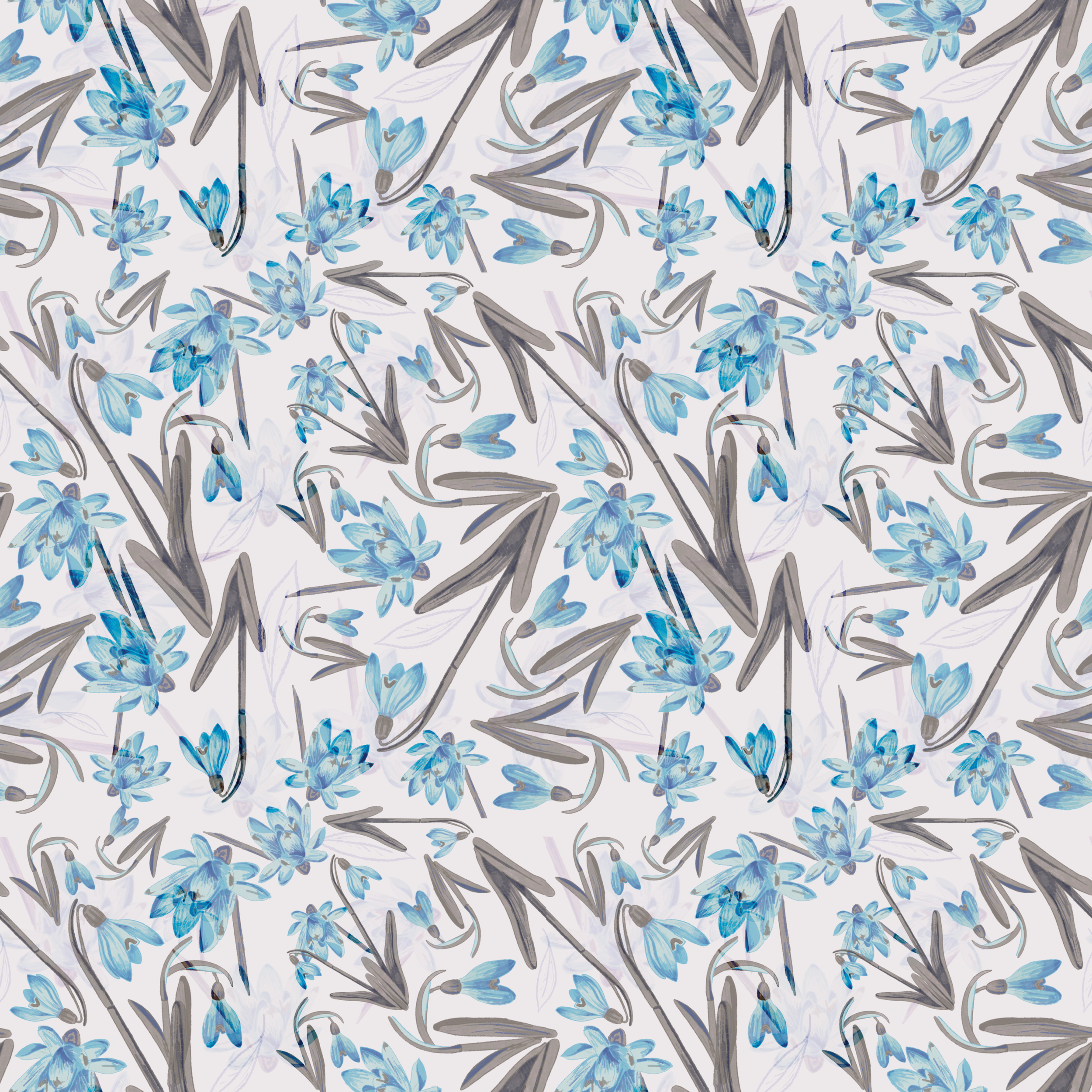 Campaneta de neu (Galanthus nivalis)_2.png