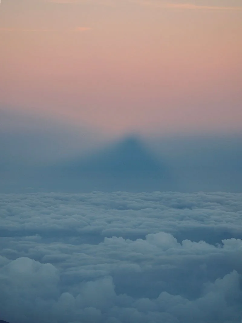 The pink hour