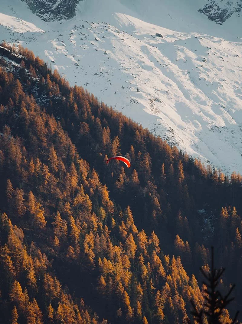 The golden season