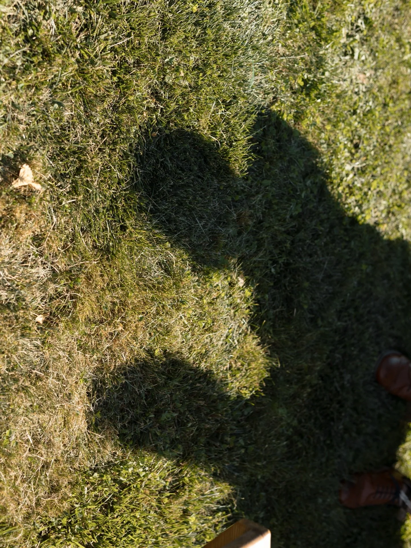 The one where the little moments felt like art (and they were)