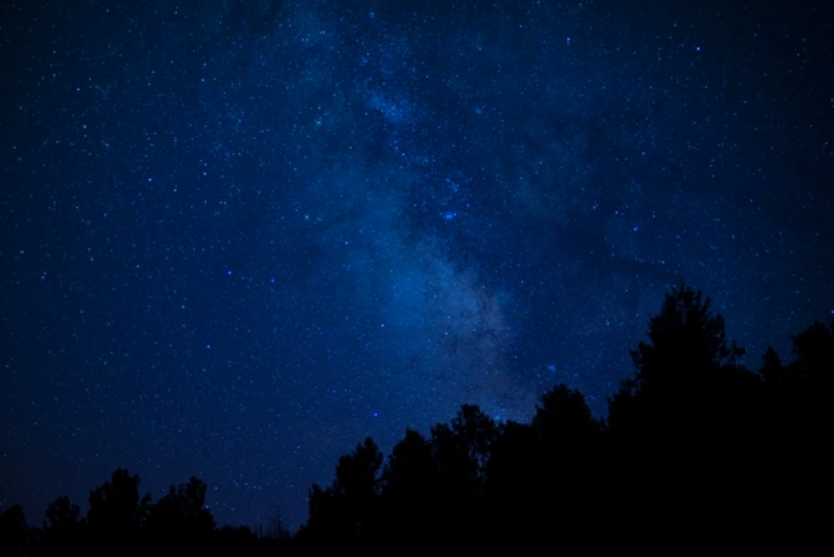 Night sky filled with stars and the Milky Way galaxy, with silhouettes of trees in the foreground.