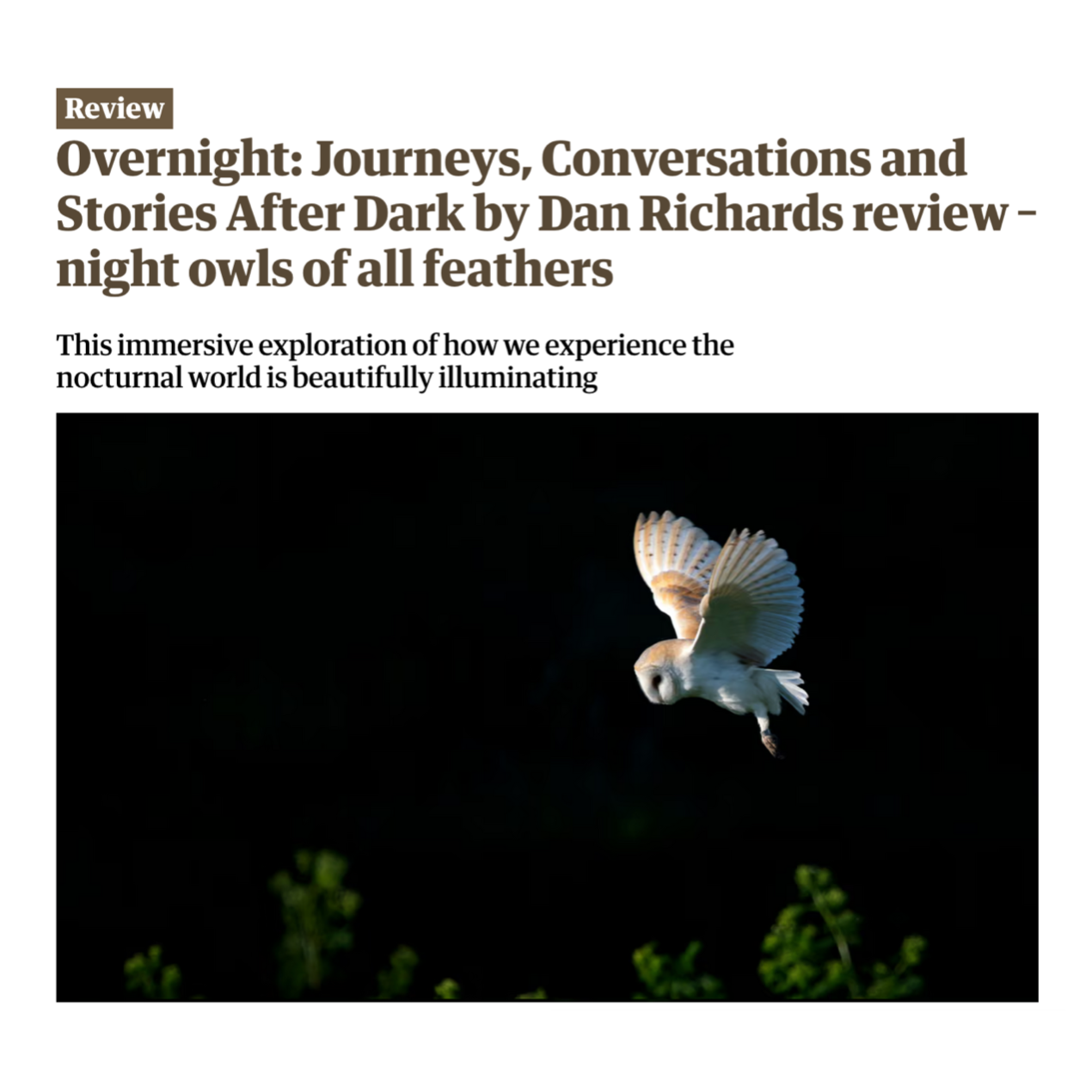 A white owl flying, wings spread wide, across a black background. Image from the Observer newspaper review of Dan Richards' 2025 book, Overnight.