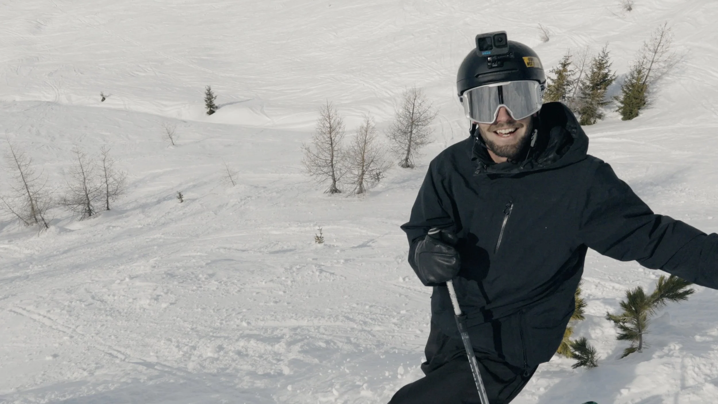 Mullet tea x Adrelyx