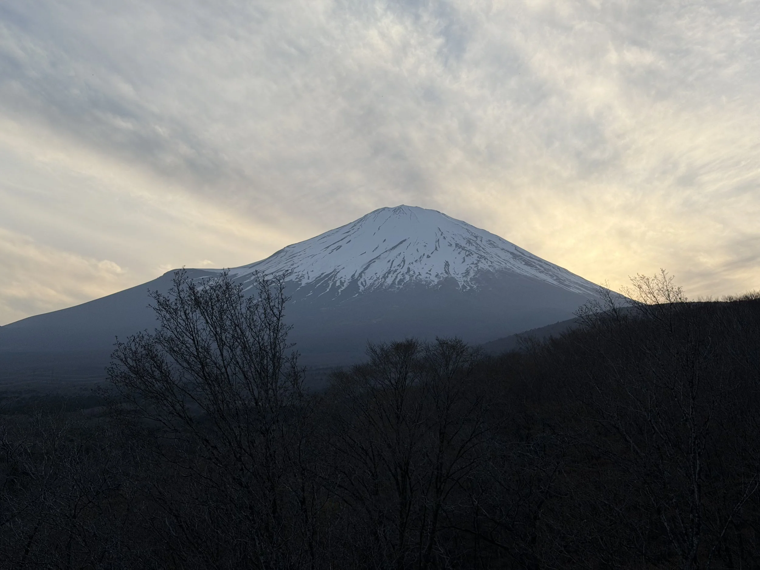 IMG_7850.jpeg