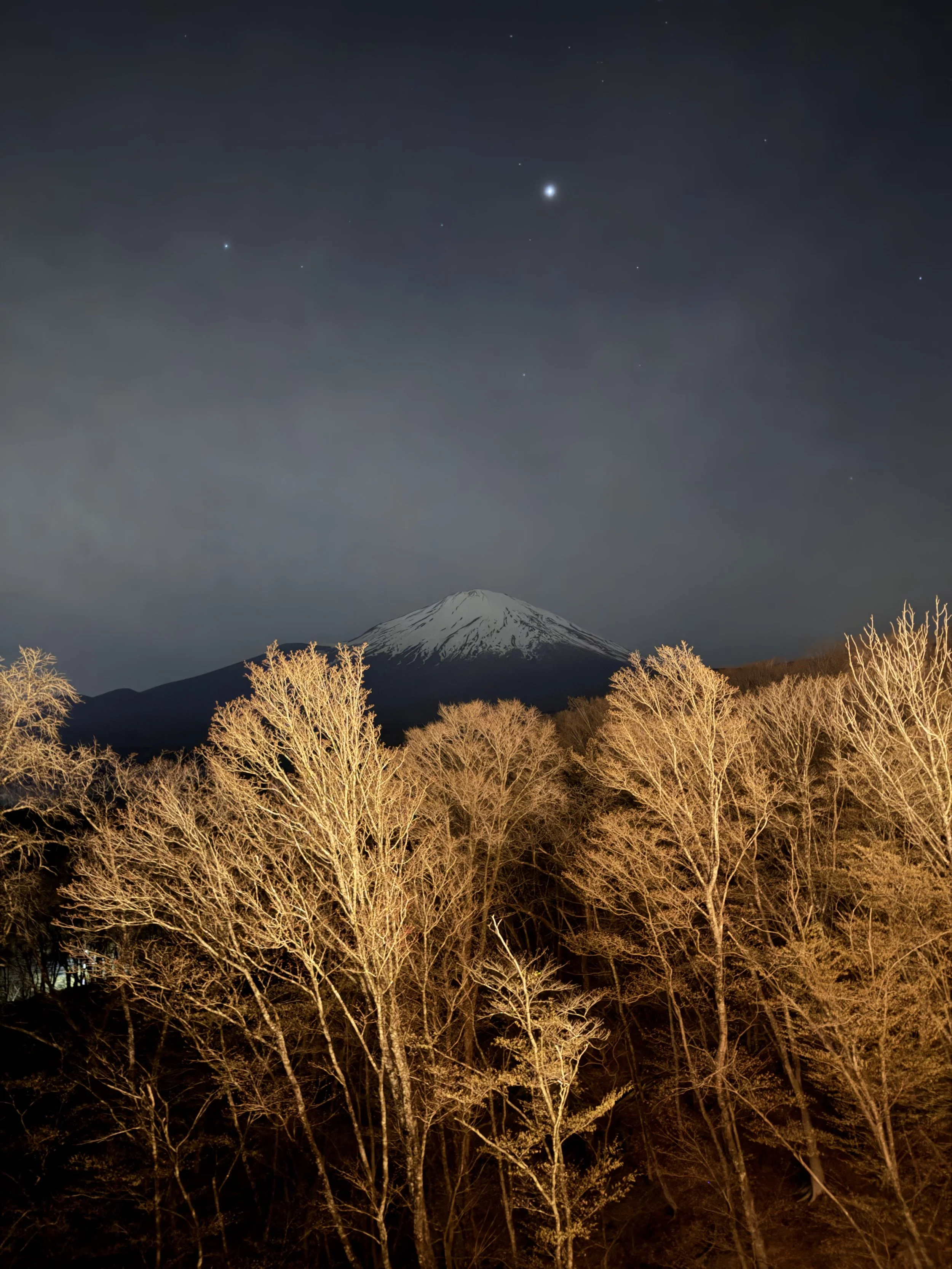 IMG_7885.jpeg