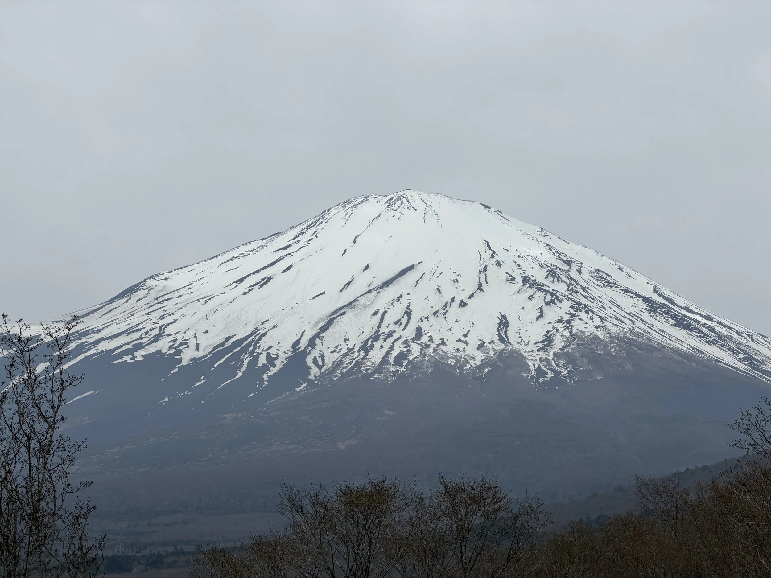 IMG_7924.jpeg
