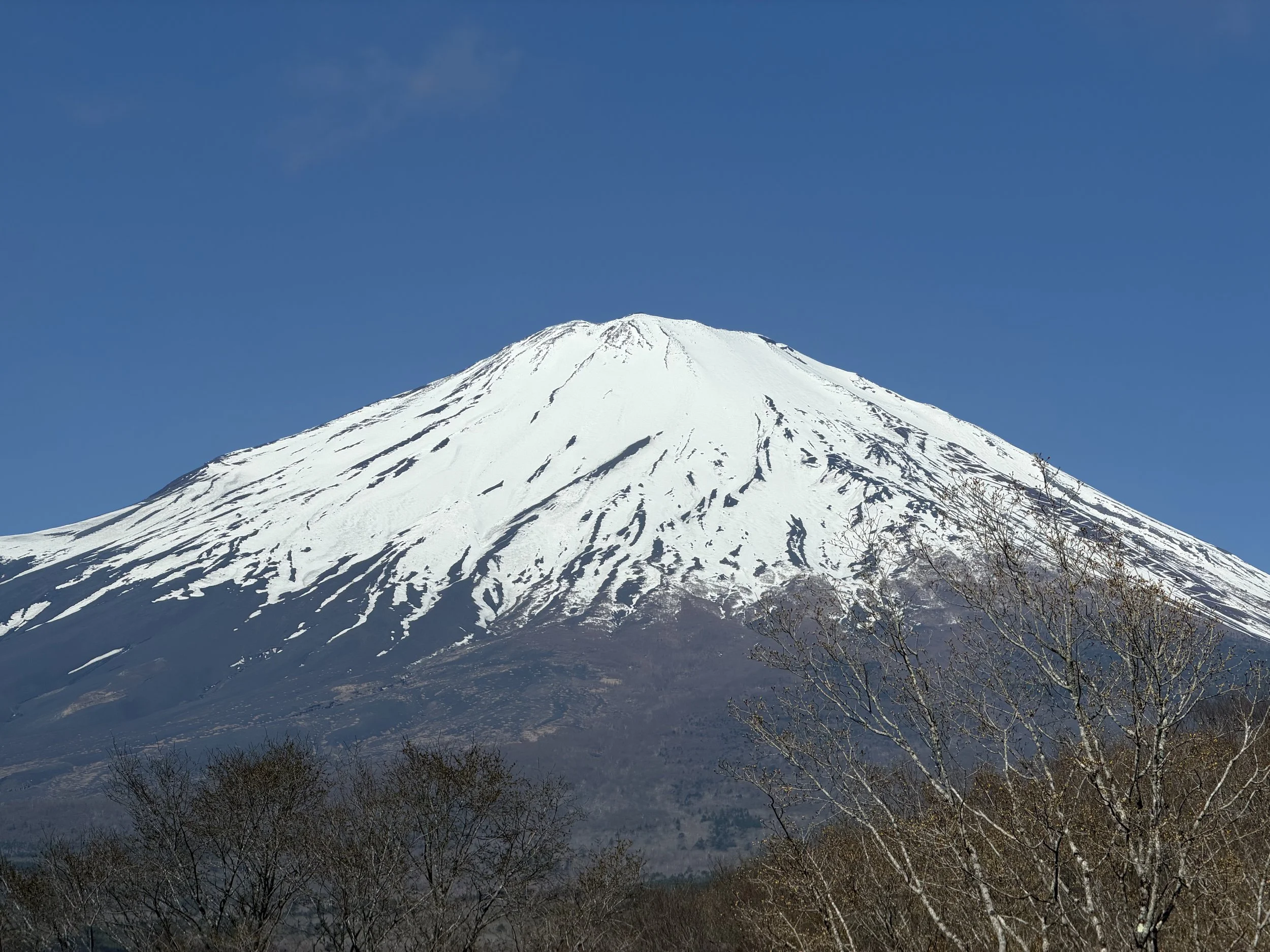 IMG_8158.jpeg