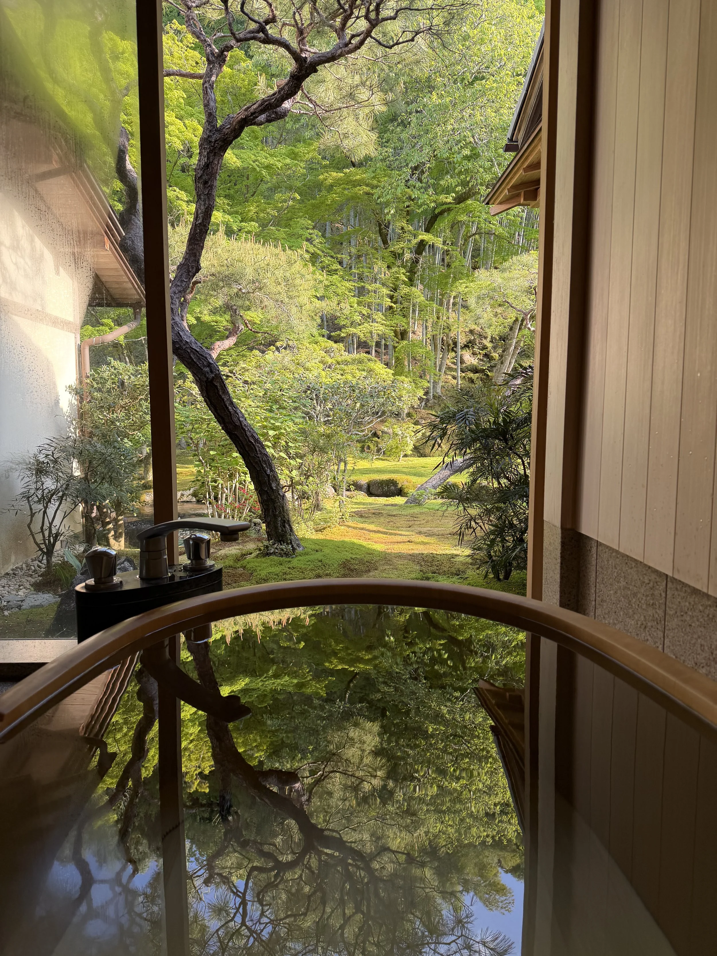 Izu: Asaba Ryokan