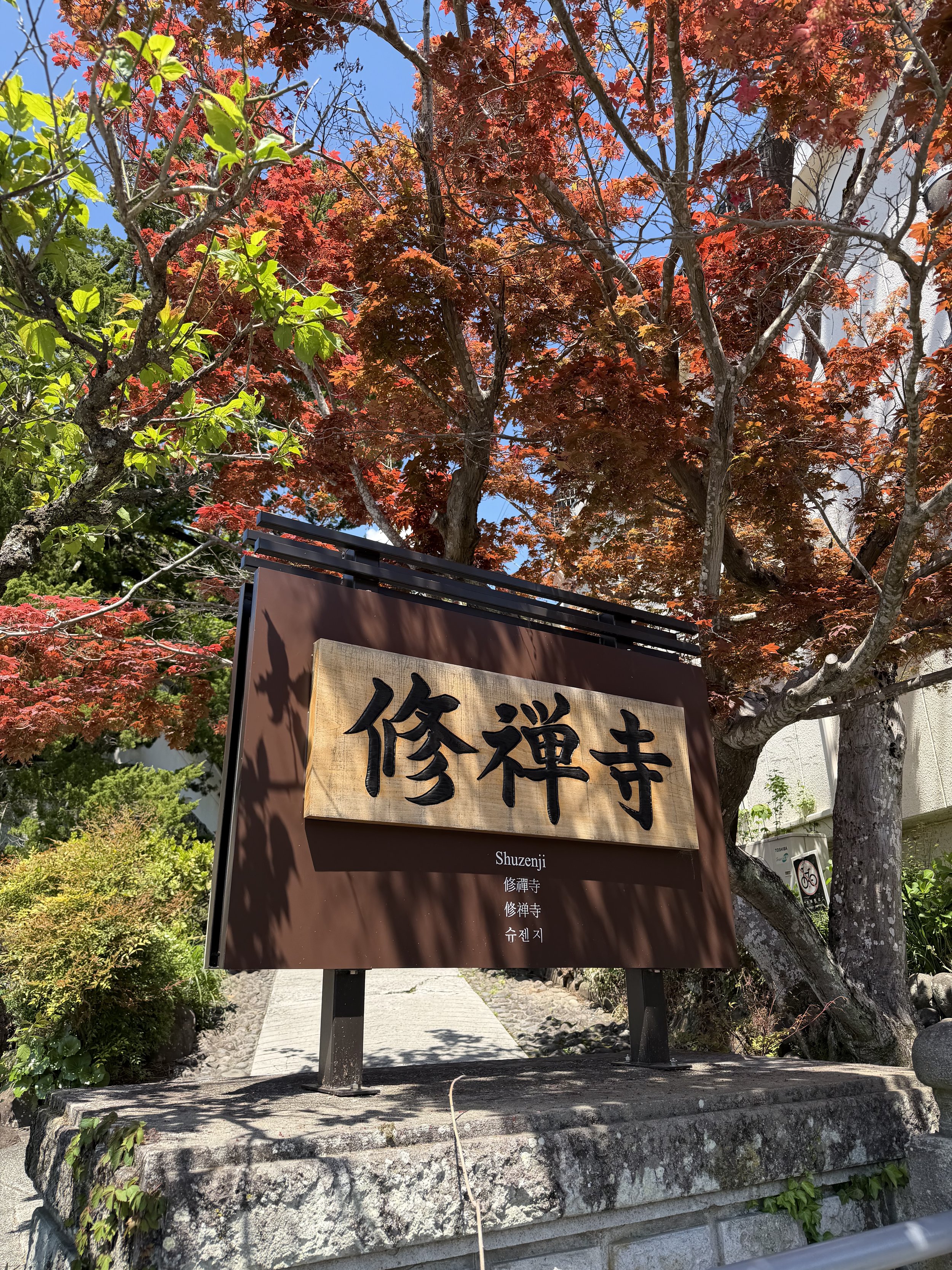 IMG_8740.jpeg