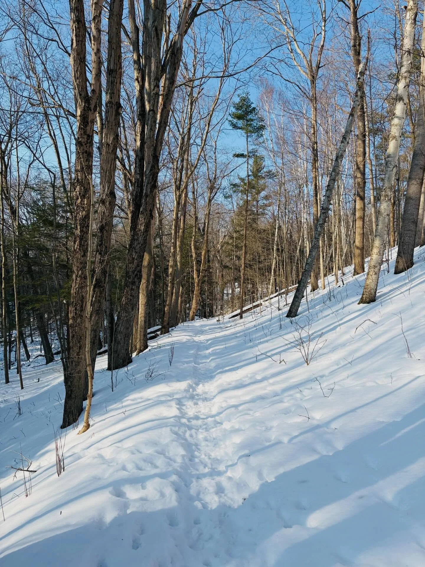 Run Locale approaches trail running through a hospitality lens. That means creating friction-free, welcoming experiences so that you can focus on the trail and the people you&rsquo;re with, rather than wayfinding or fighting through surprise conditio