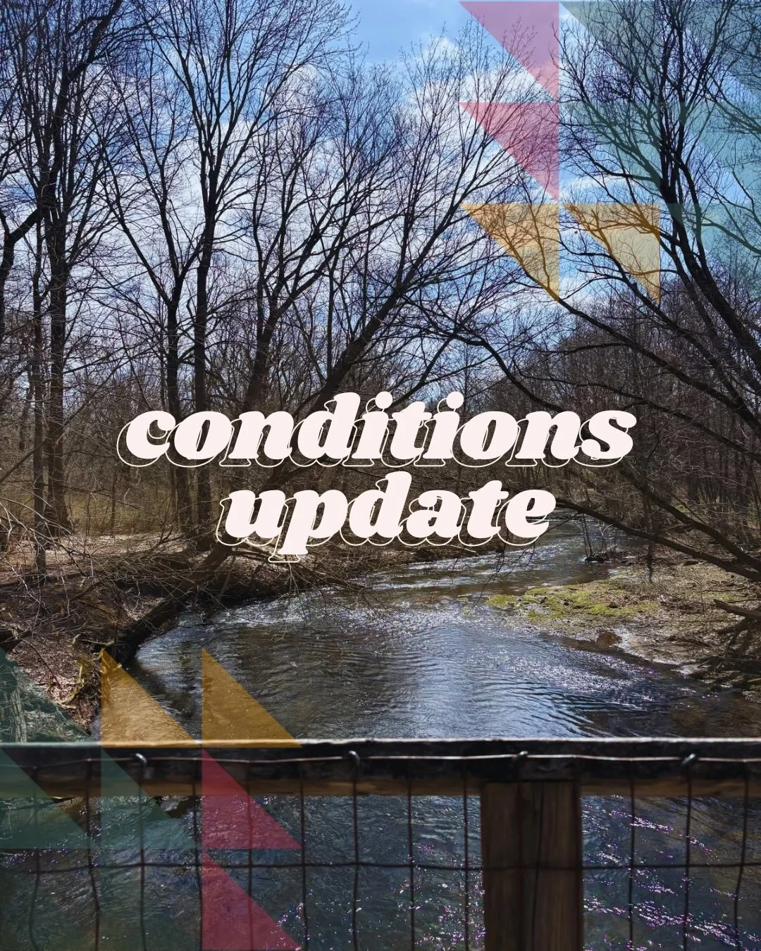 Trail conditions update 📣

As of Saturday afternoon, the Lynn Valley Trail is in great condition with very few wet or muddy sections. The first section of the trail is paved, perfect for bringing strollers or kids on bikes. The latter section is mos